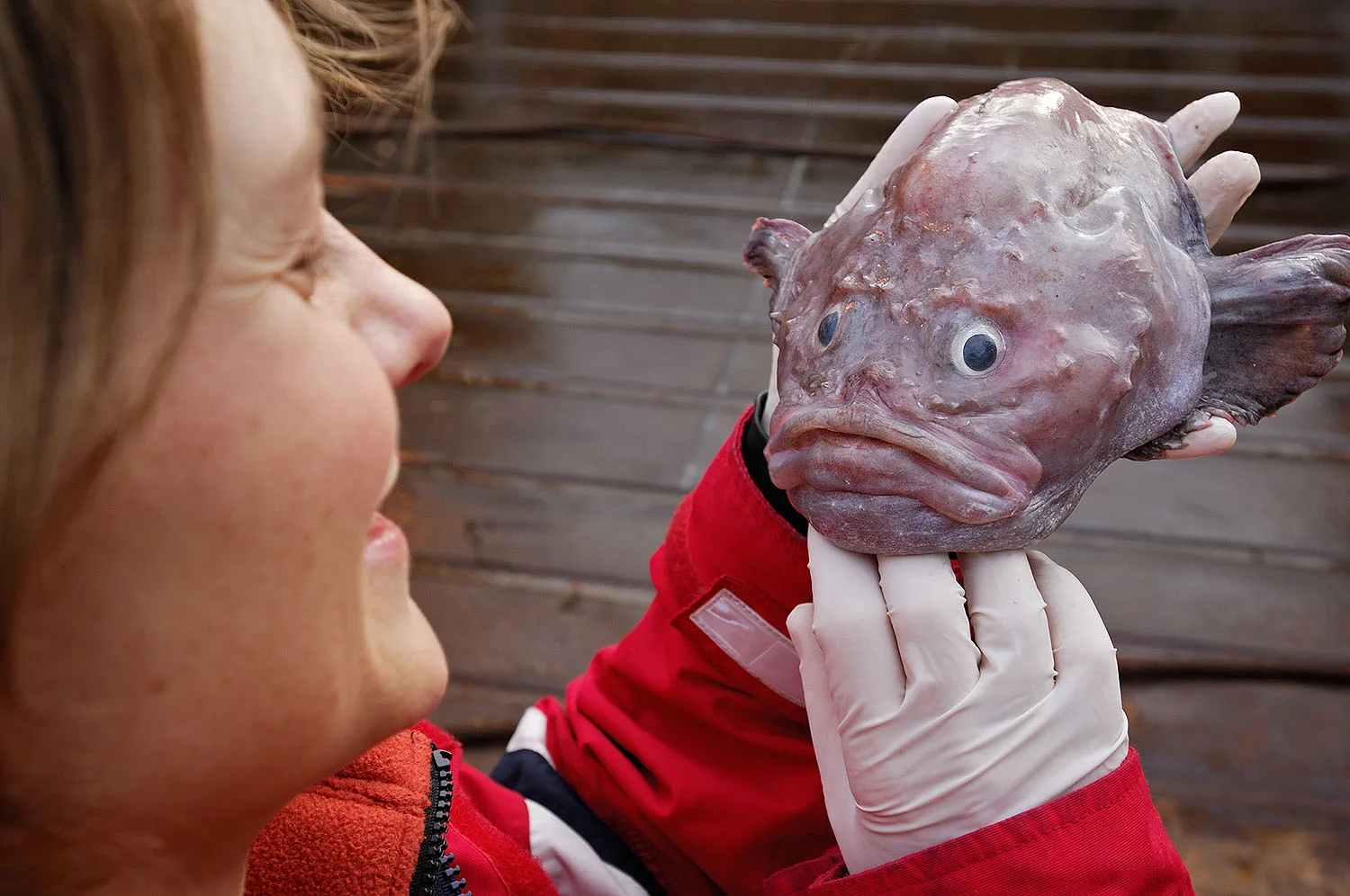 10_Research ship_17594.jpg