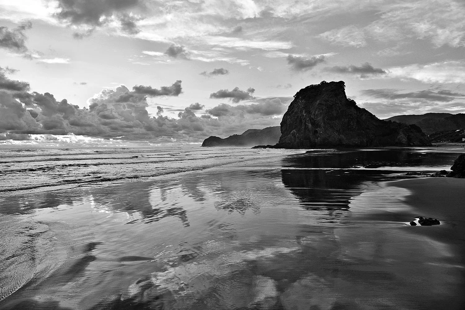 06_West Coast Auckland.jpg