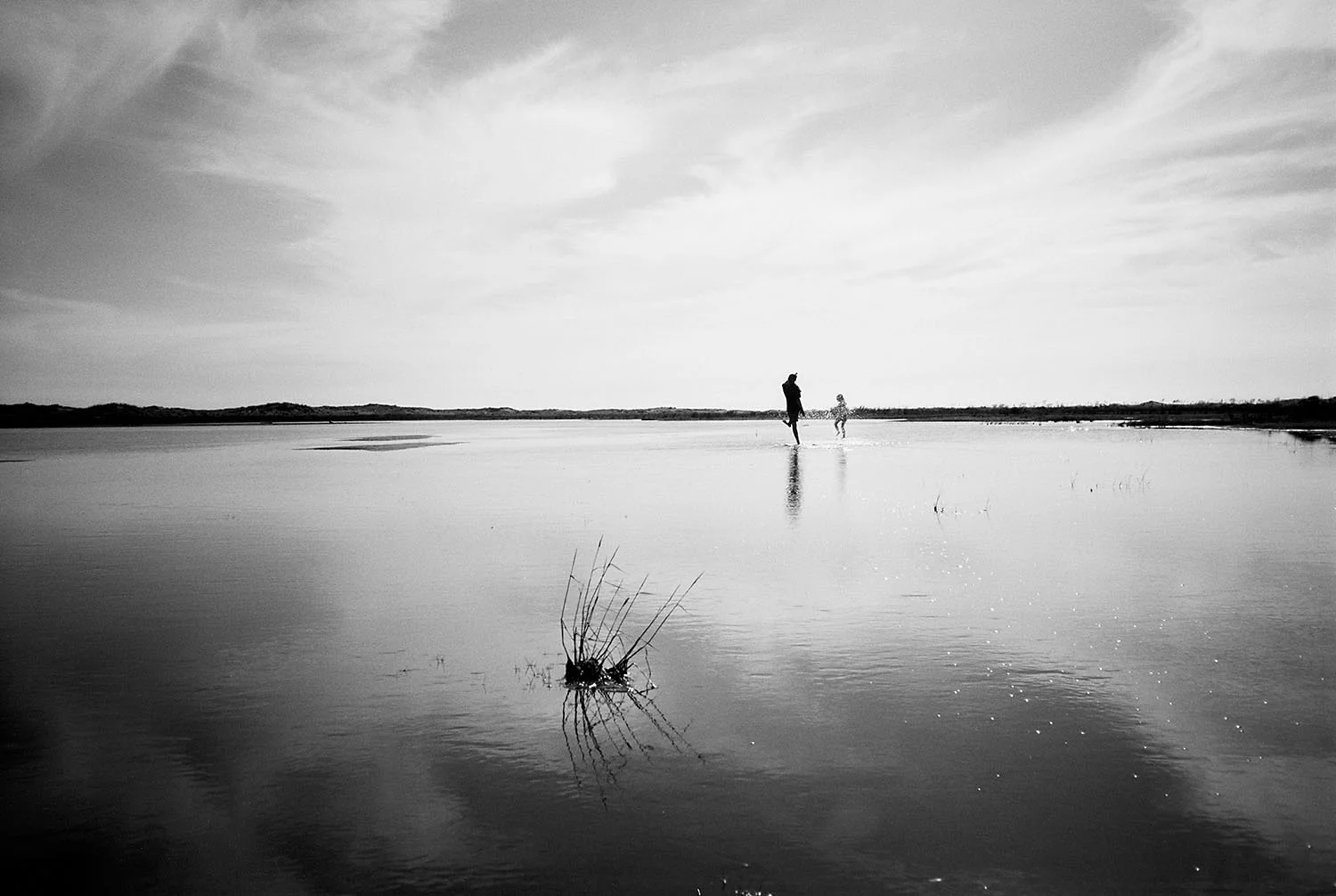 11_West Coast Auckland.jpg