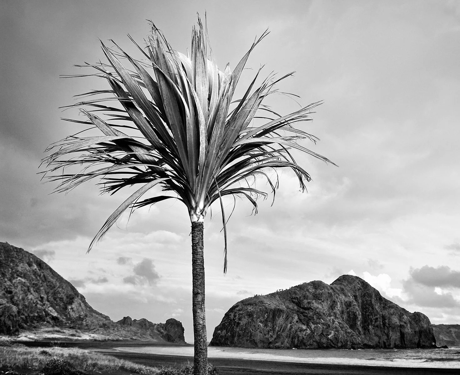 10_West Coast Auckland.jpg