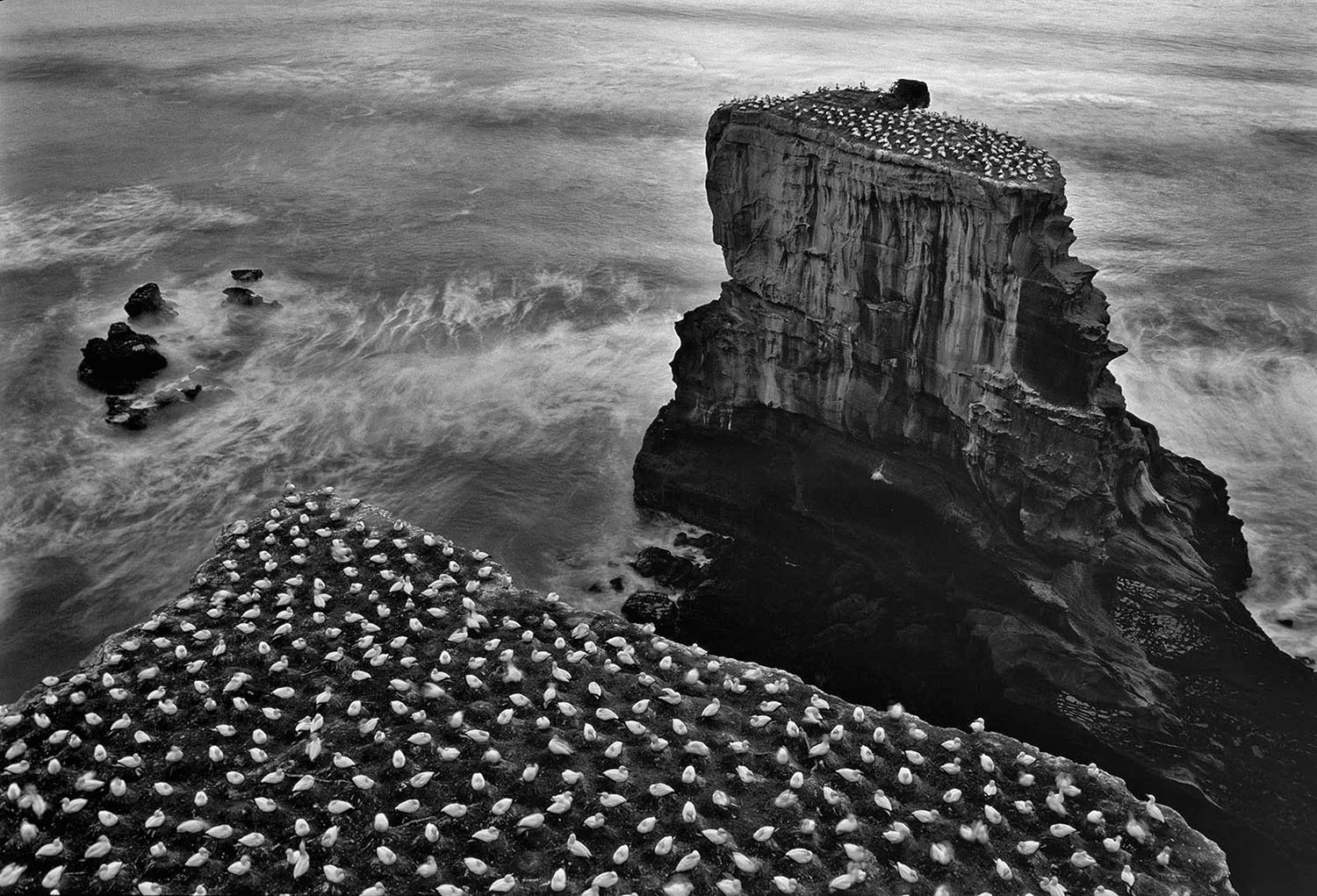 12_West Coast Auckland.jpg