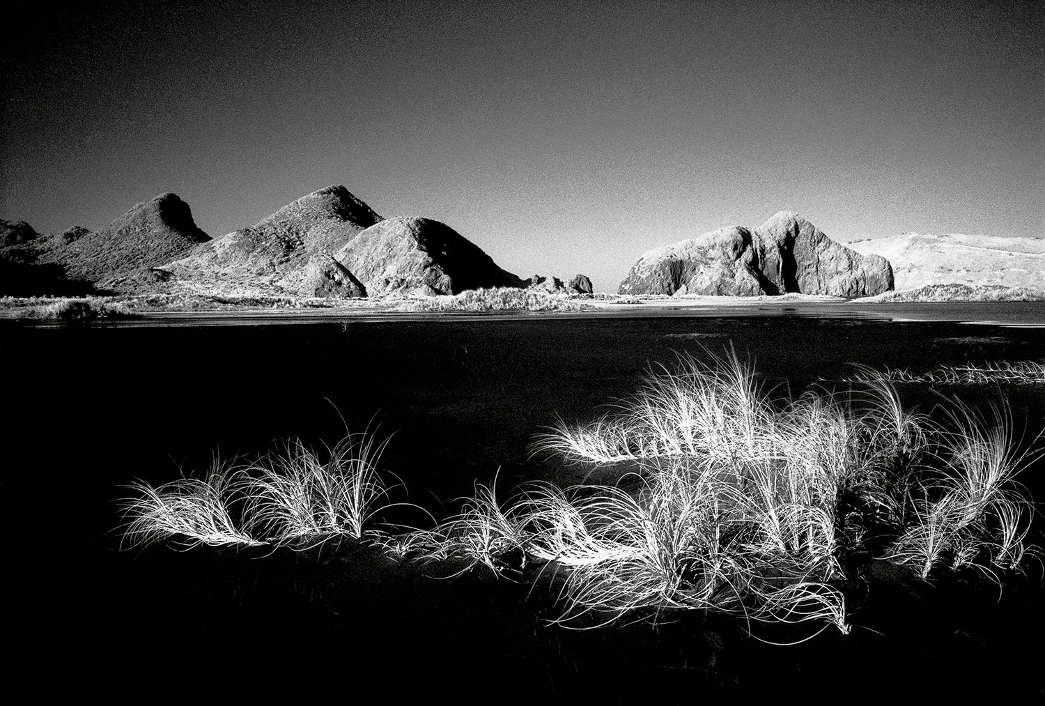 13_West Coast Auckland.jpg