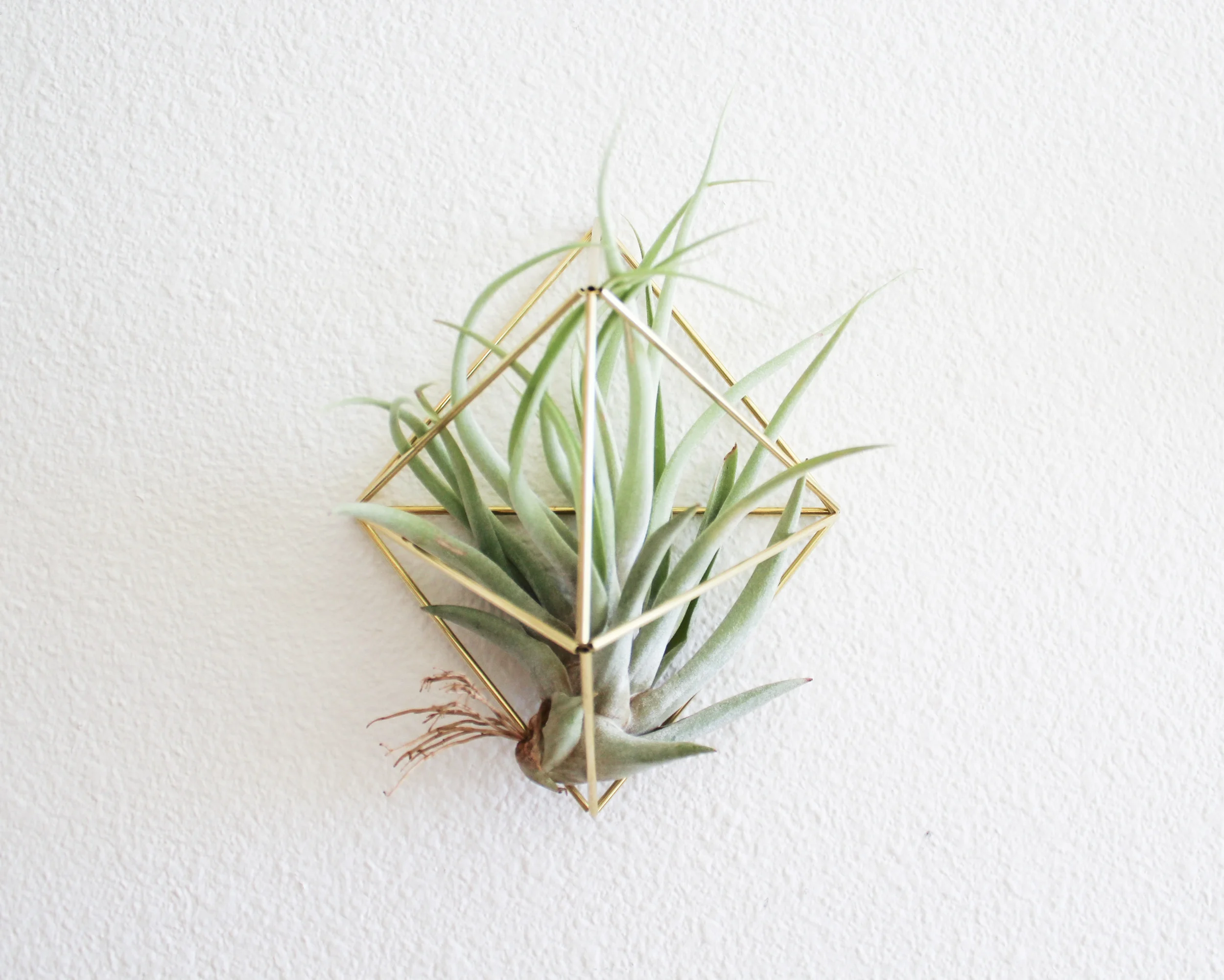The Cocoon Wall Sconce by Handmade Sam*Made