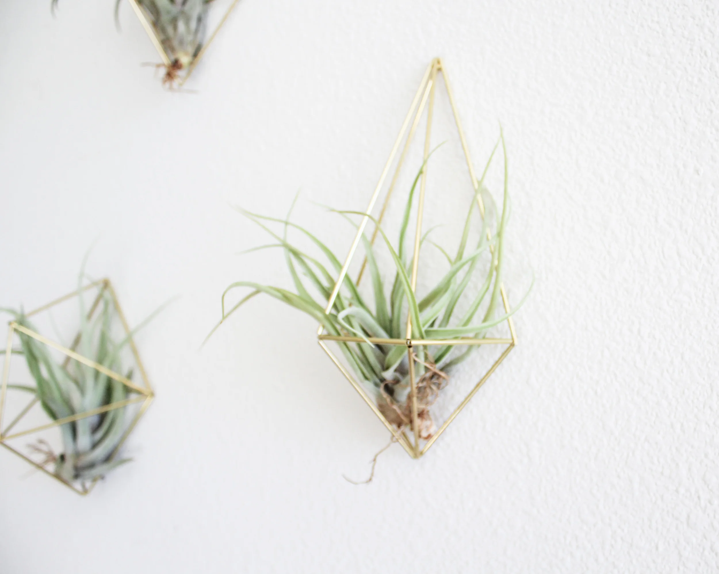 The Pear Diamond Wall Sconce by Handmade Sam*Made