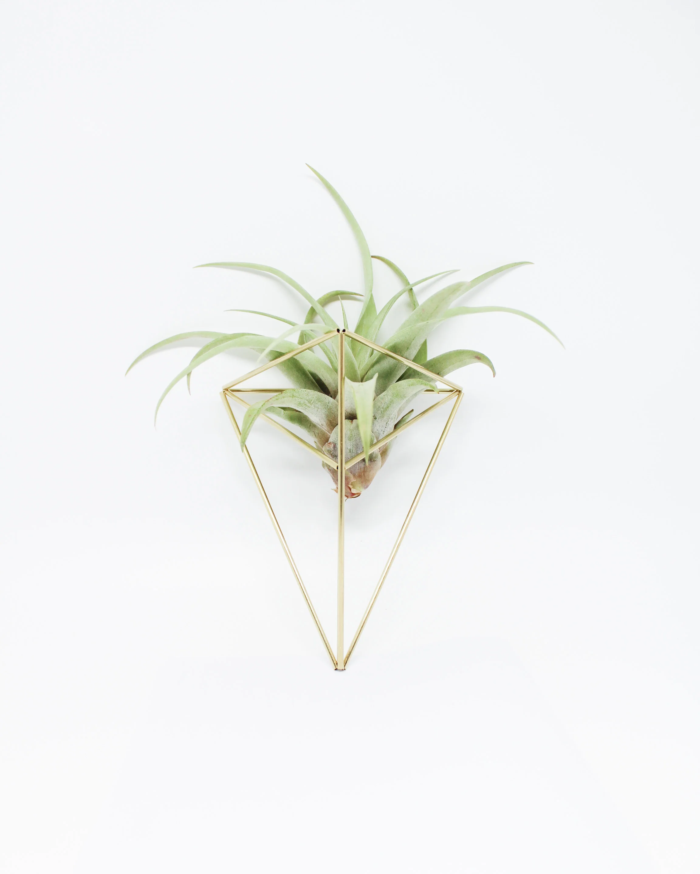 The Herringbone Wall Sconce Set by Handmade Sam*Made