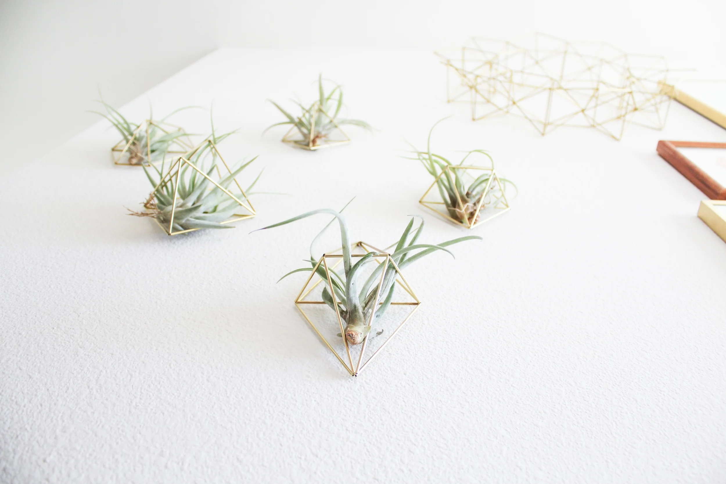 The Wall Sconce Collection by Handmade Sam*Made