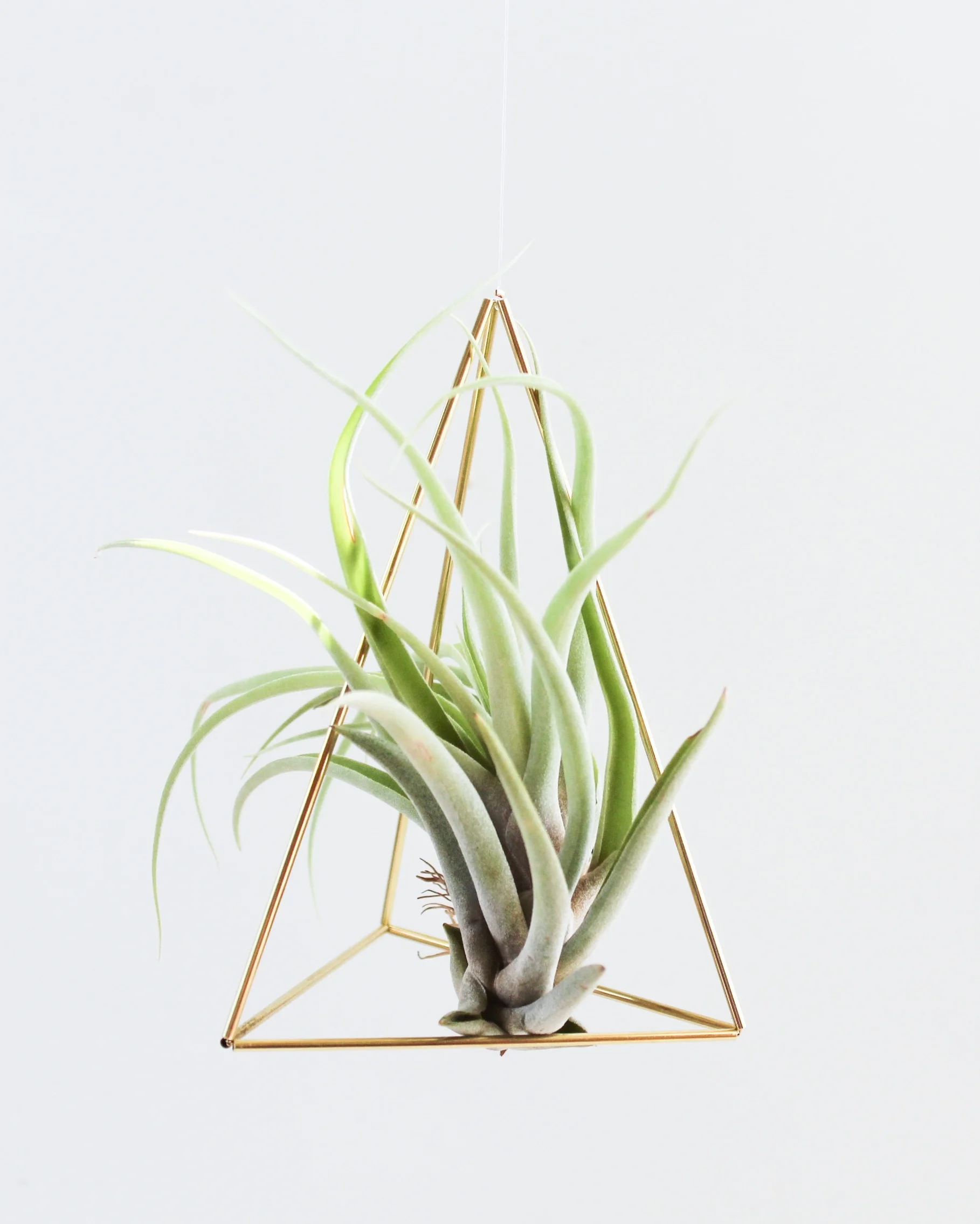 The Prism by Handmade Sam*Made