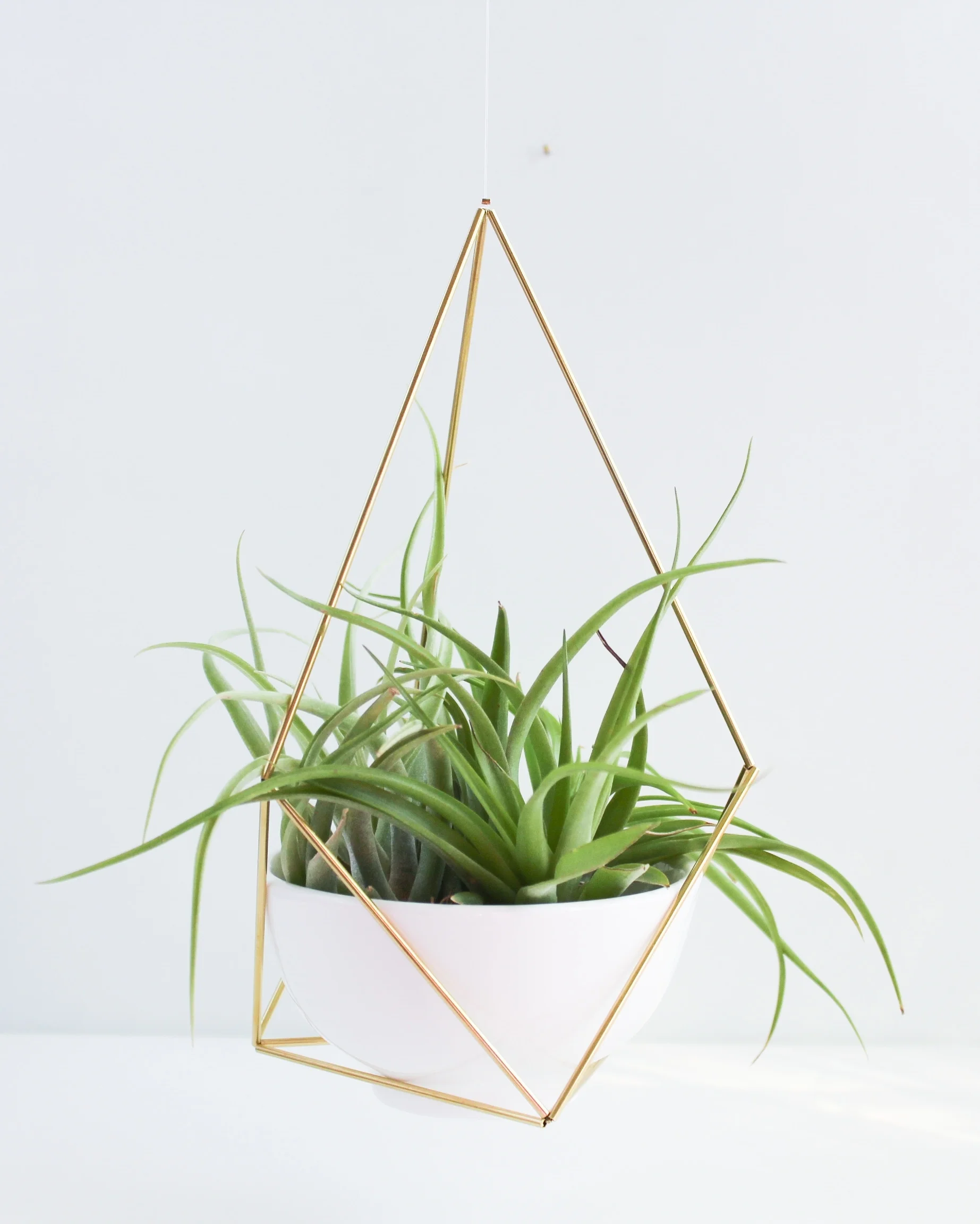 The Planter by Handmade Sam*Made