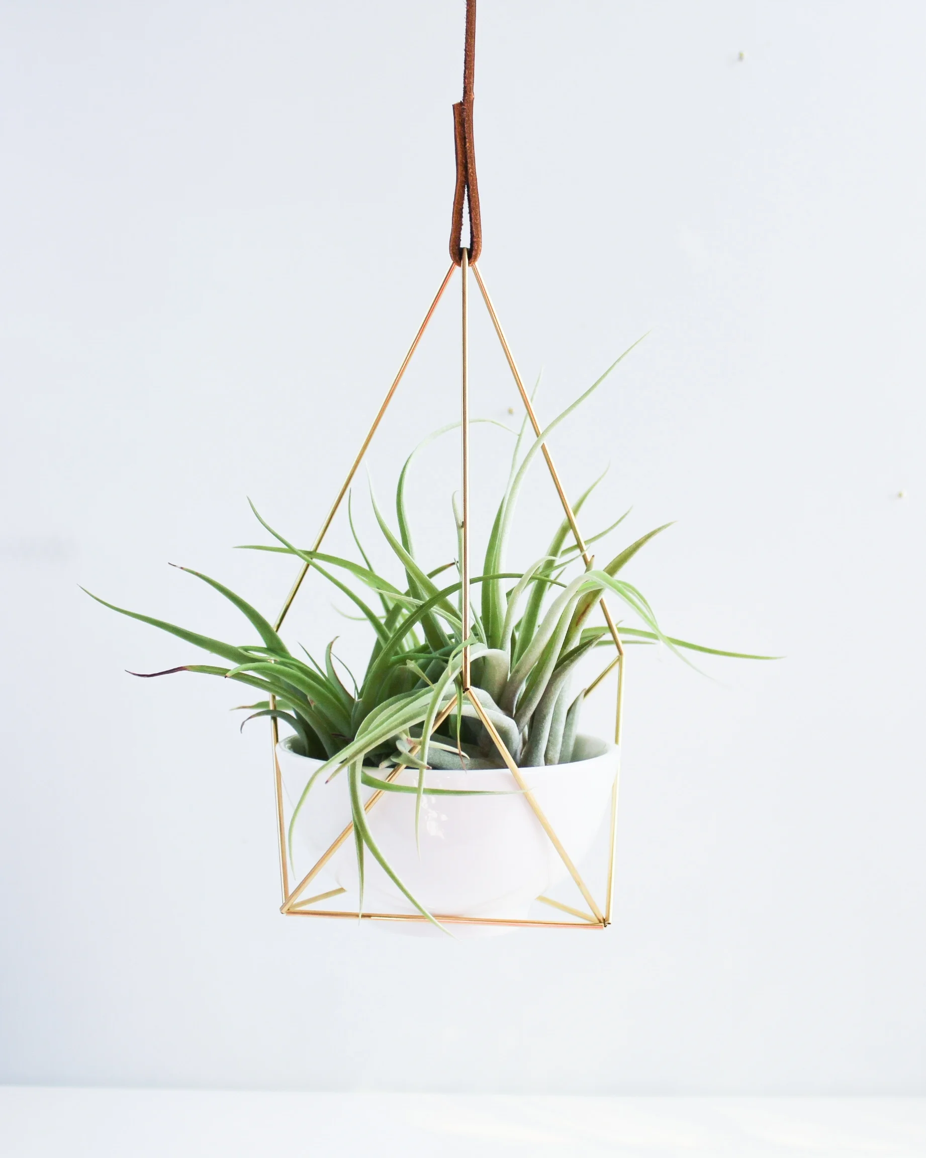 The Planter by Handmade Sam*Made