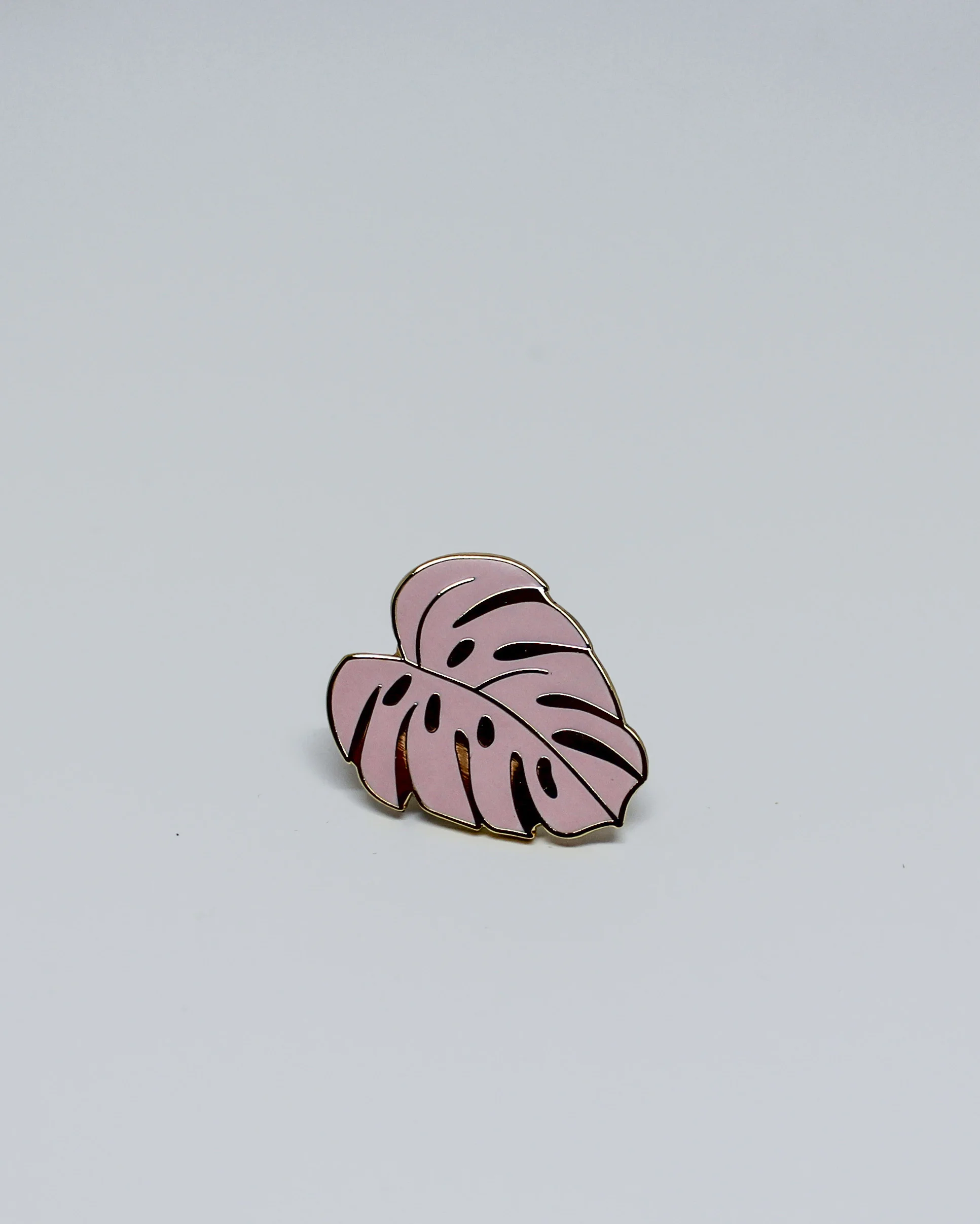 Monstera Pink 3.jpg