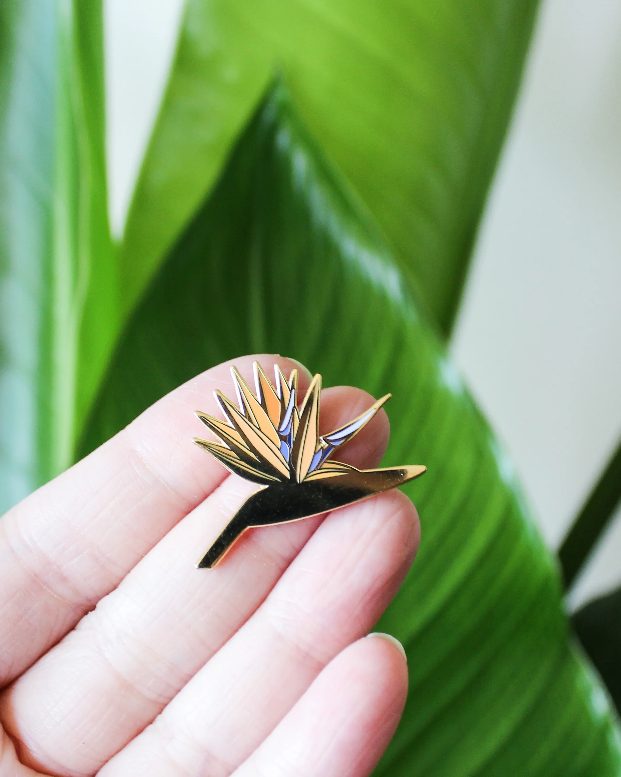 Bird of Paradise by HEMLEVA