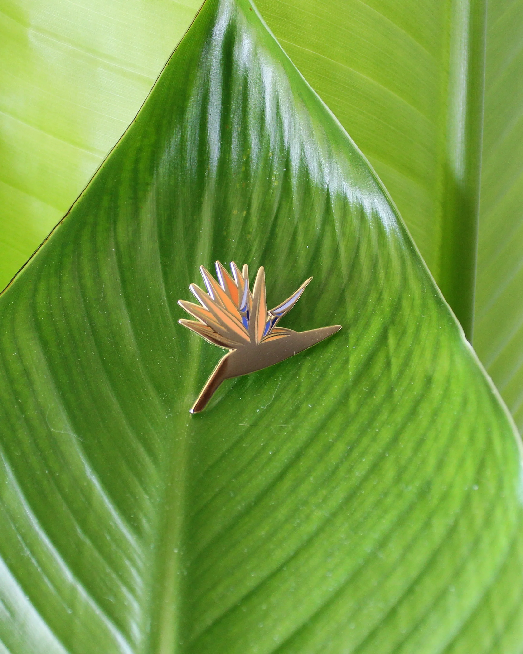 Bird of Paradise by HEMLEVA