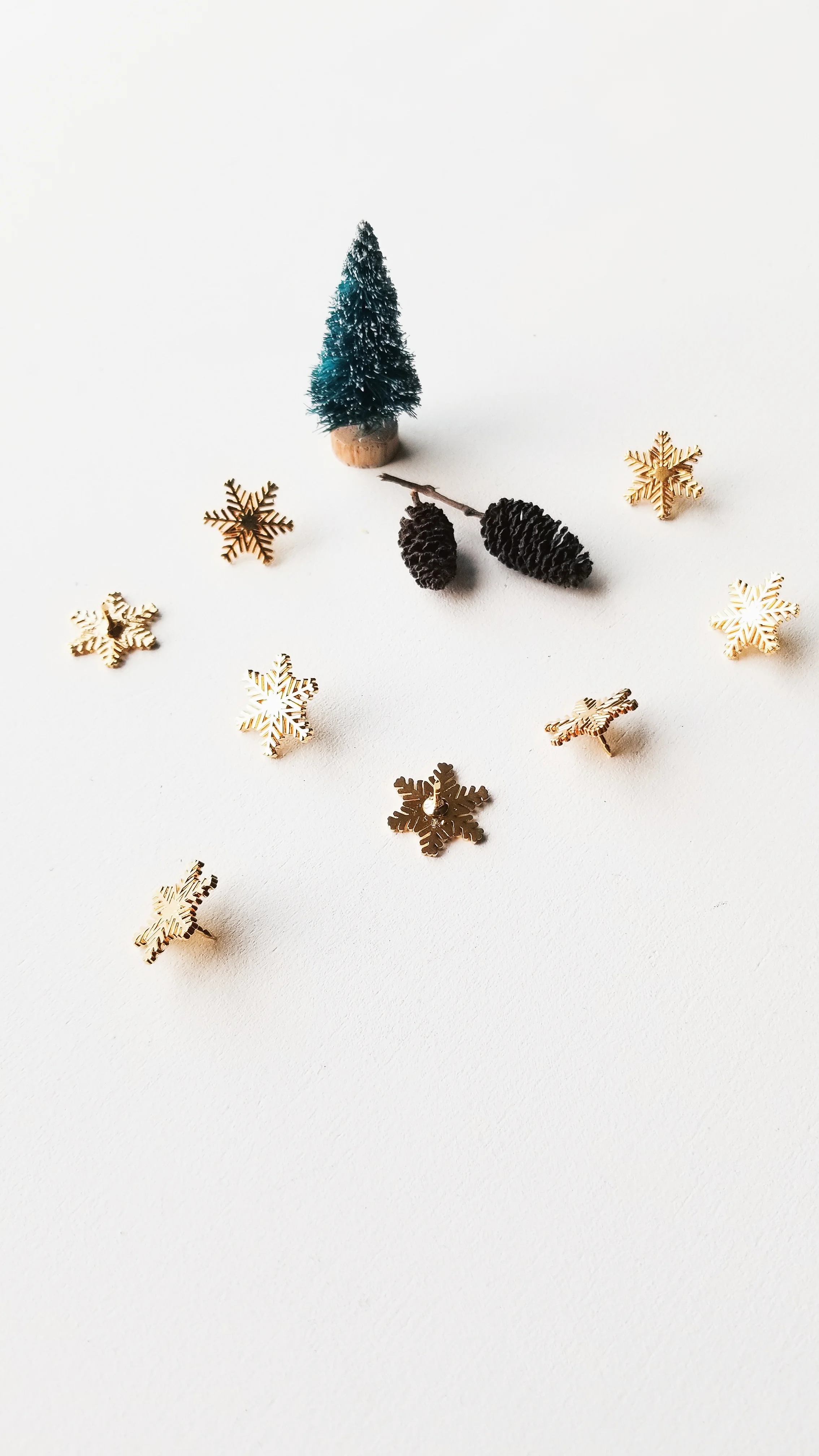 Snowflake by HEMLEVA 5.jpg