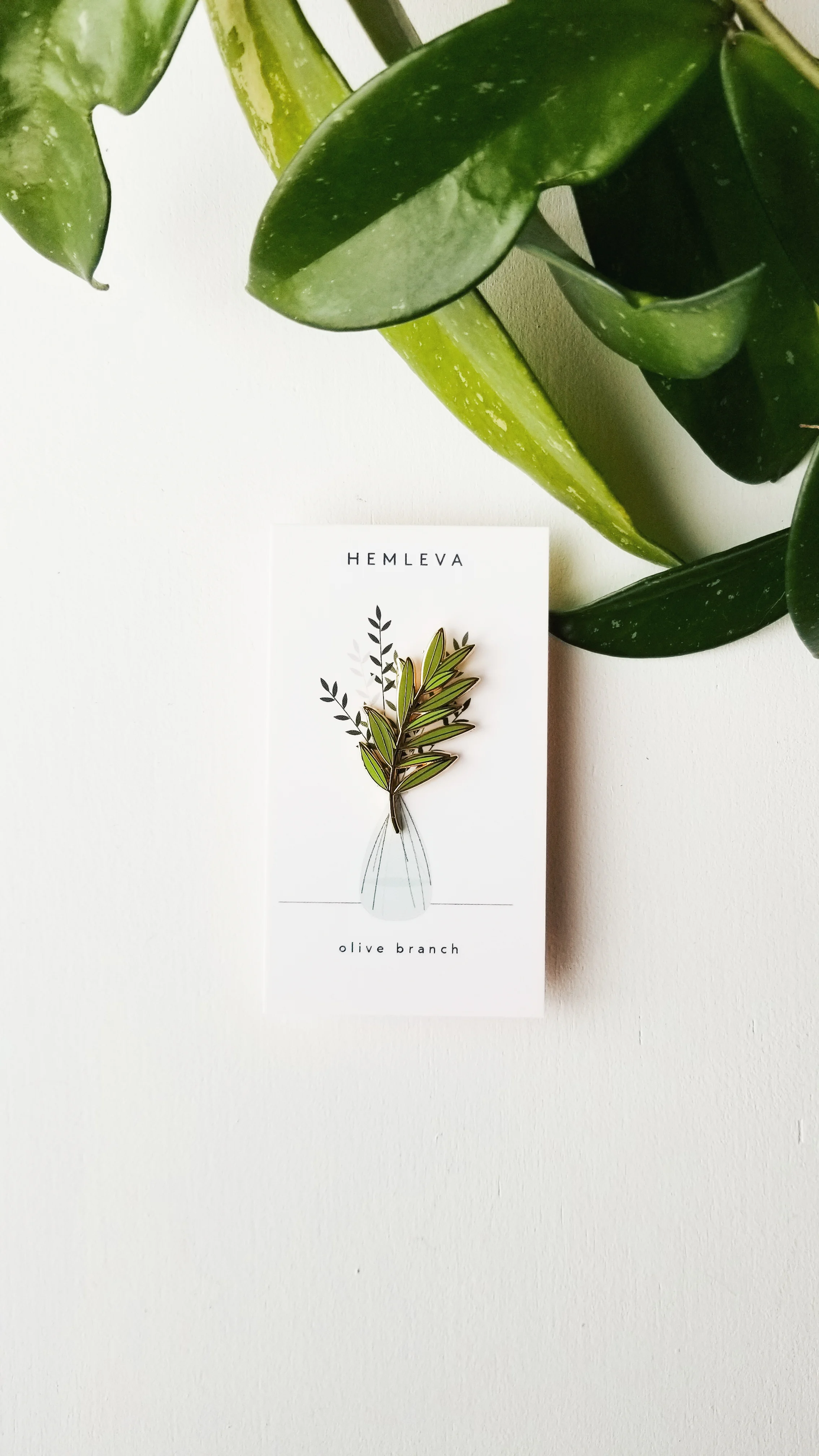 Olive Branch by HEMLEVA 2.jpg