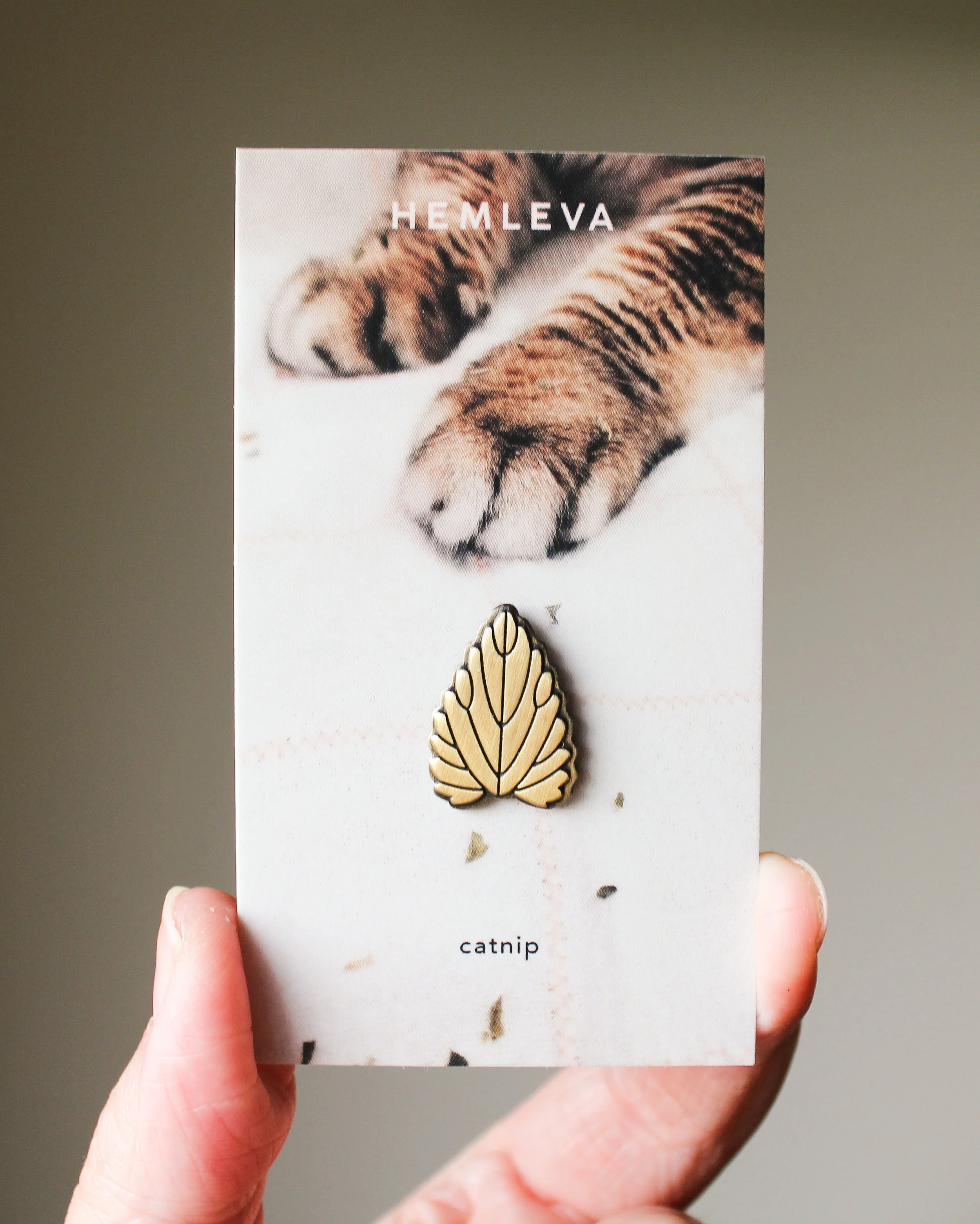 HEMLEVA Catnip 3.jpg