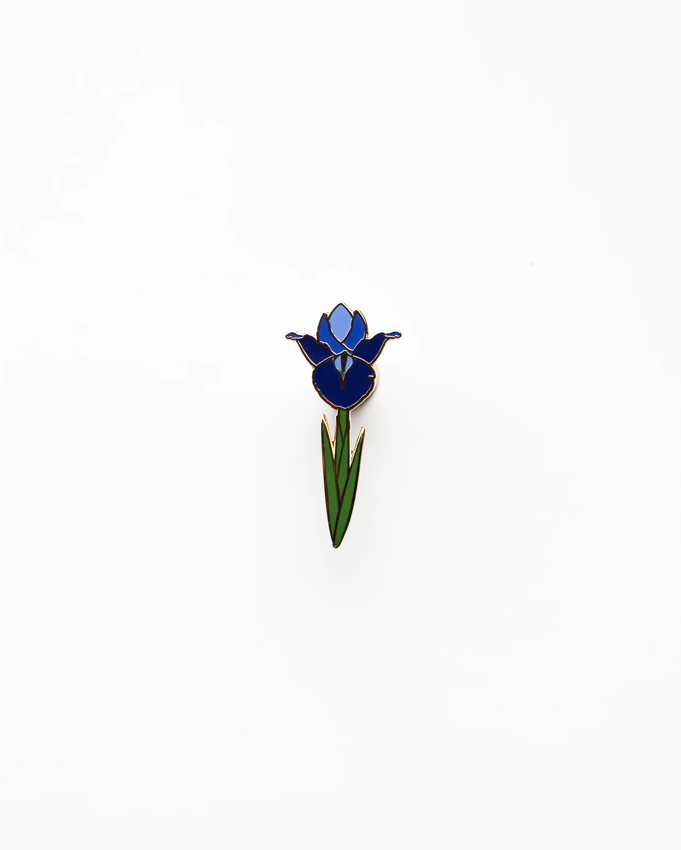 HEMLEVA Iris 5.jpg