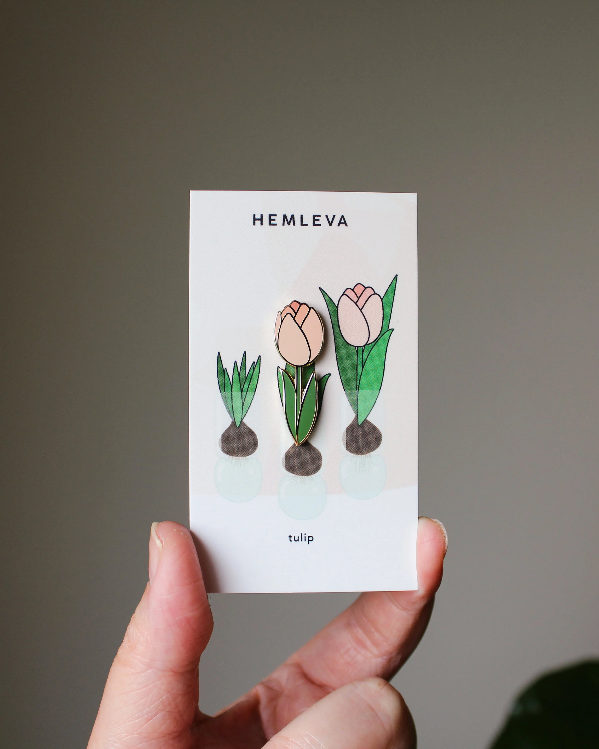 HEMLEVA Tulip 3.jpg