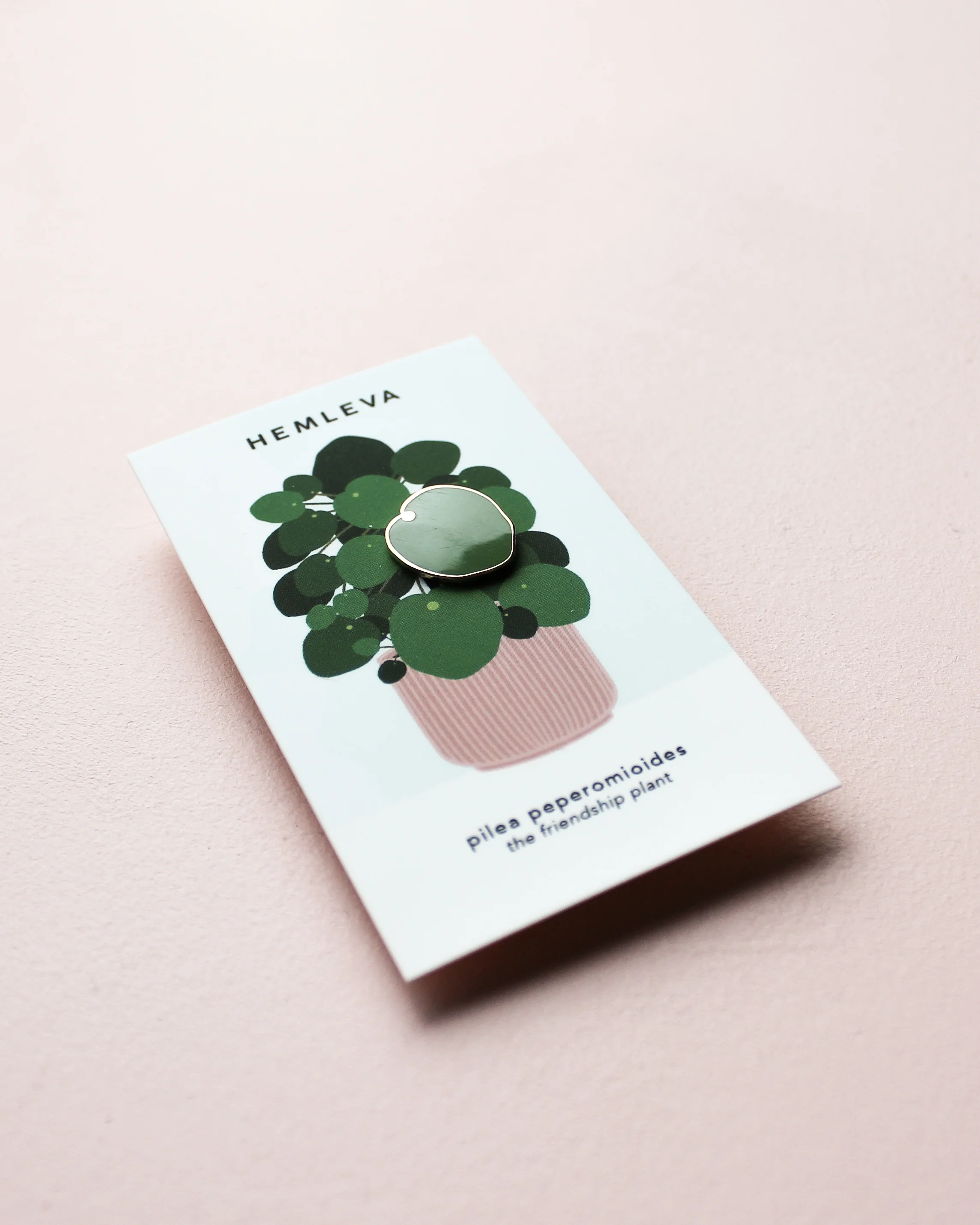 HEMLEVA Pilea S 2.jpg