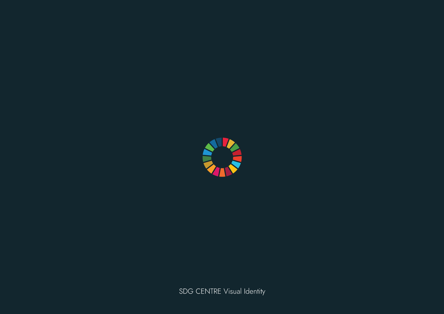 SDG-centre_VI.png