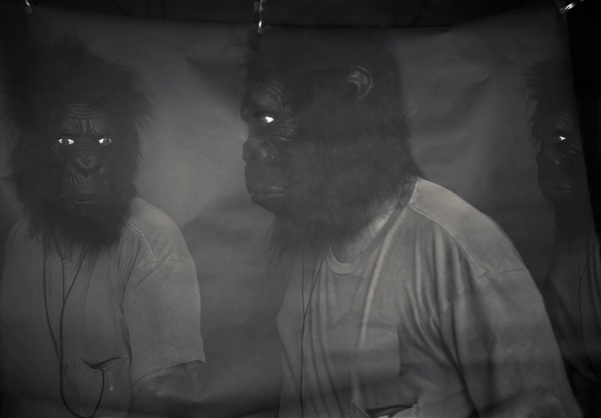 GorillaMarch001.jpg