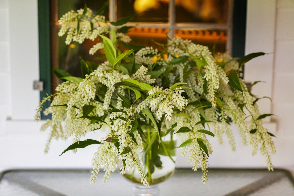 Flowers On The Porch