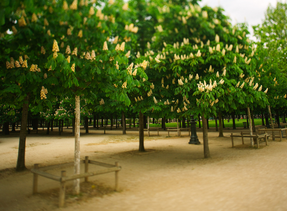 Jardin du Luxembourg