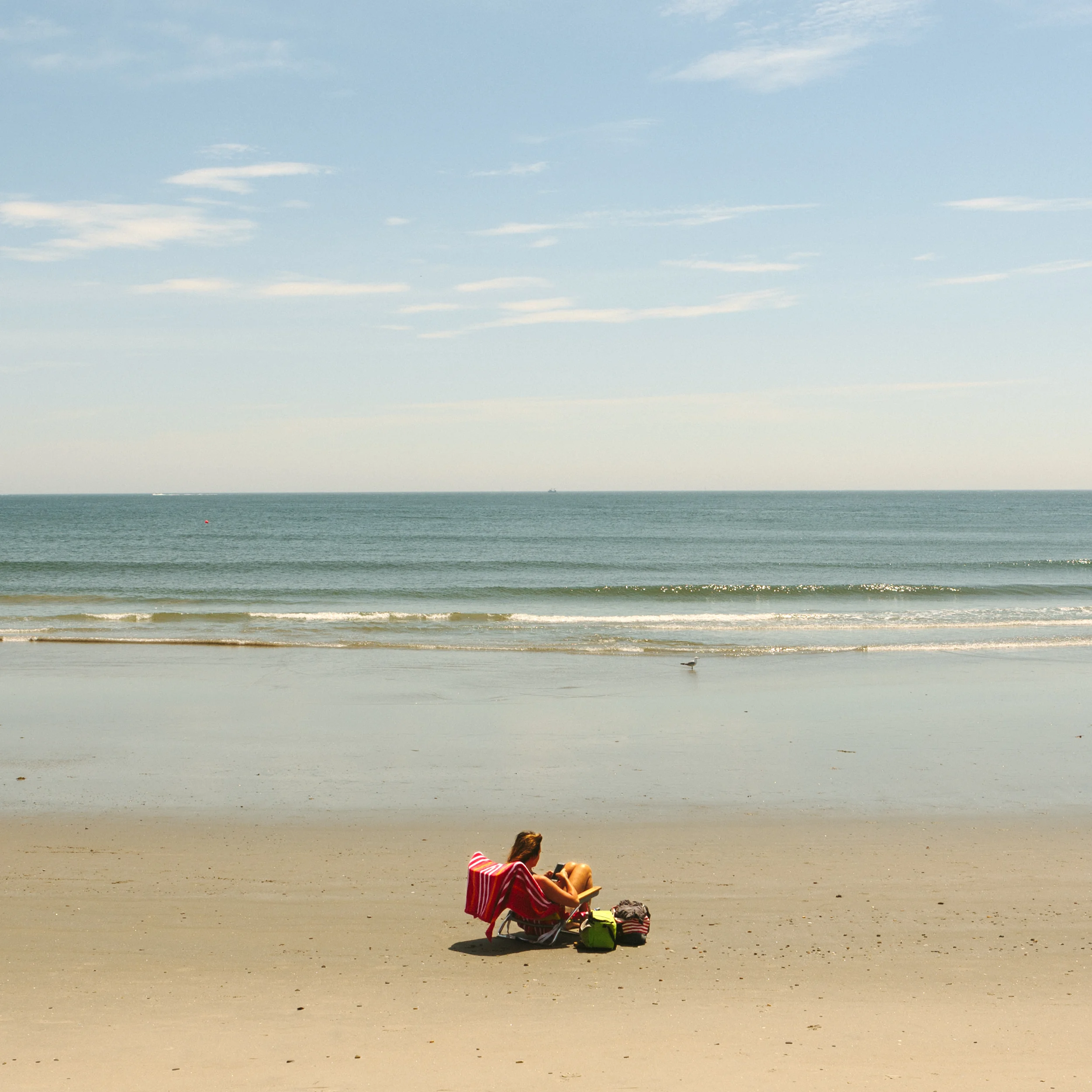 Woman Texting At The Beach