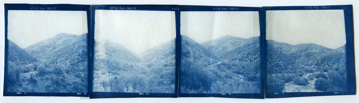 ArizonaAssemblage018.jpg