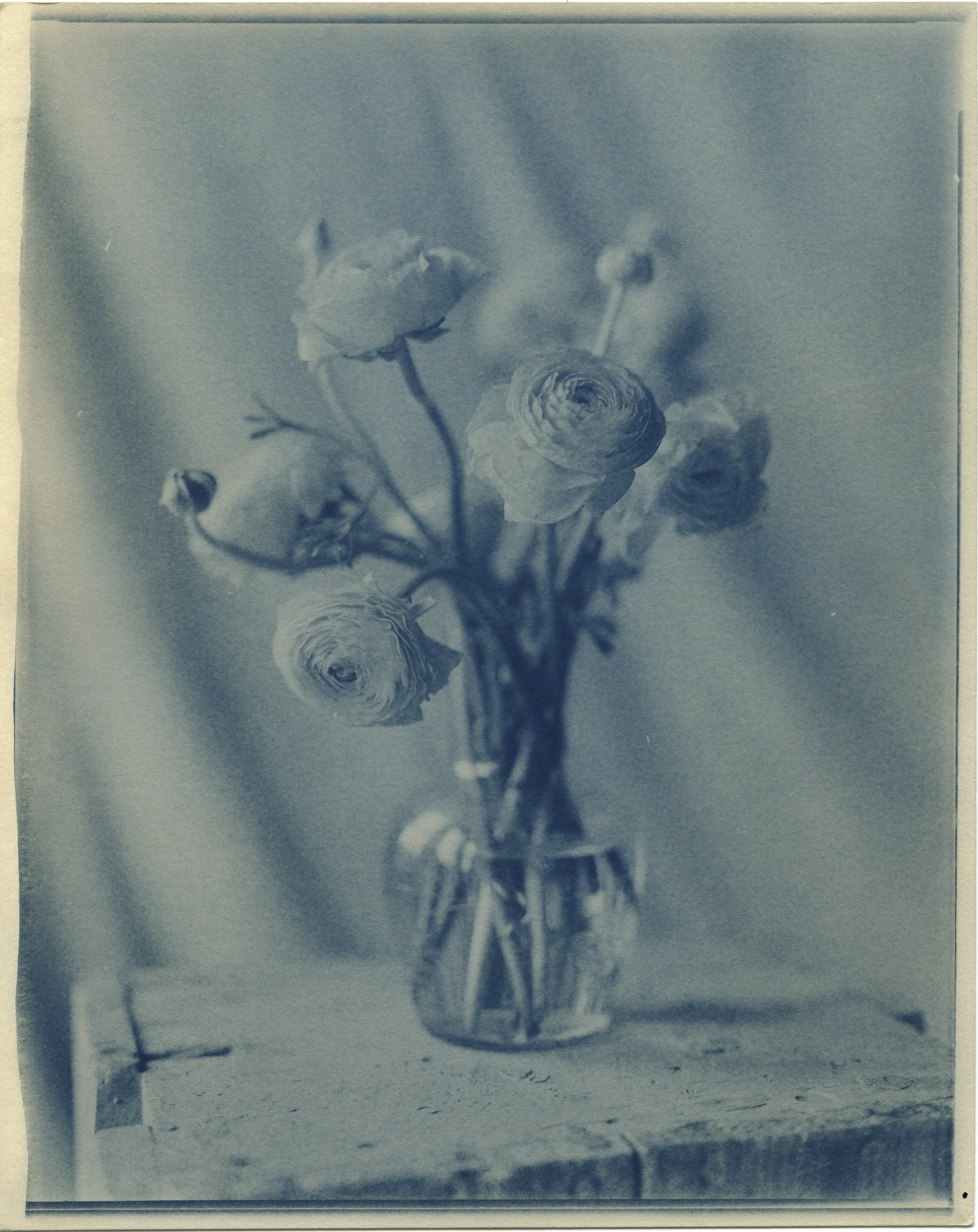 FlowersCyano024.jpg