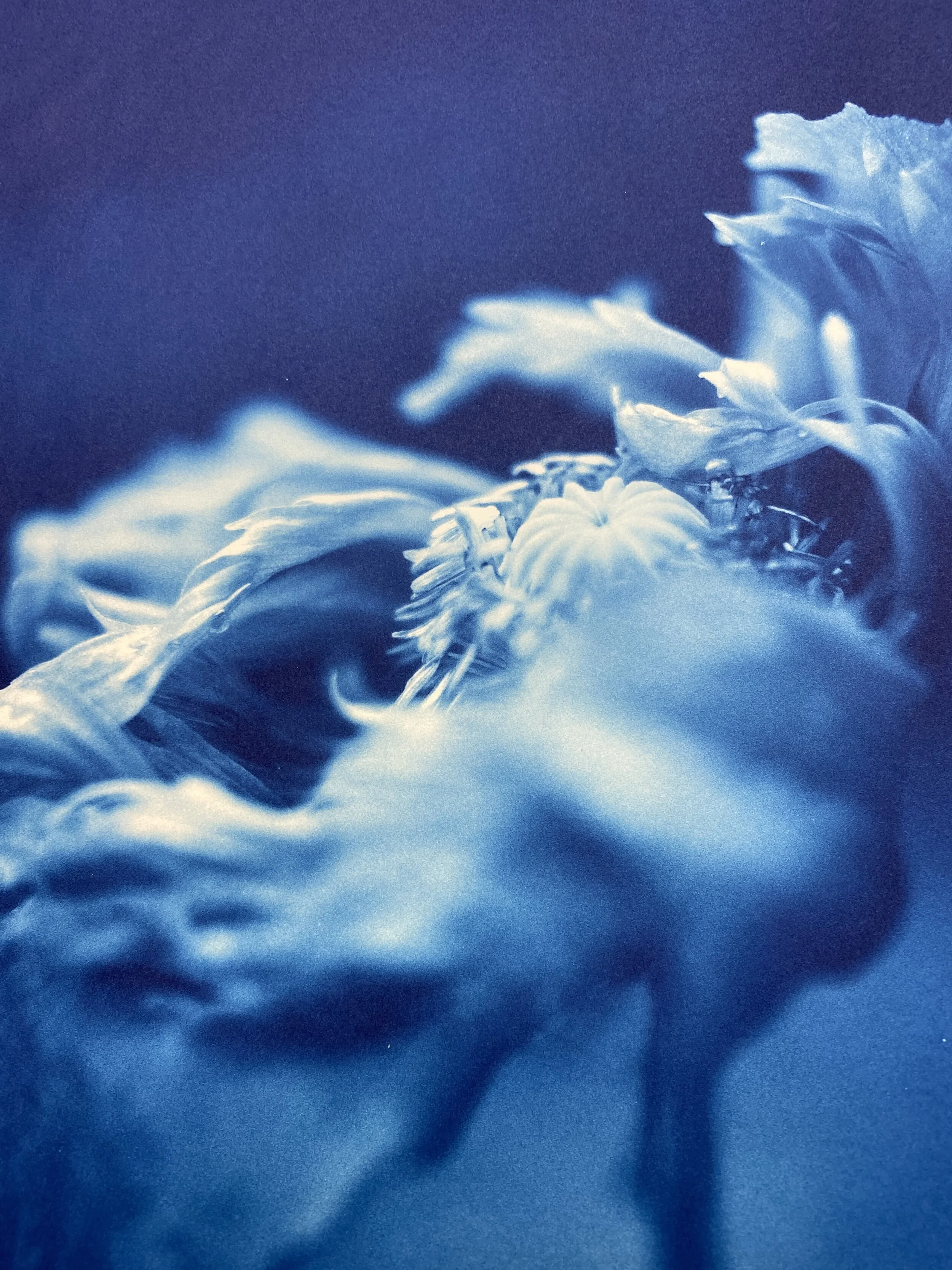 63F440E3-90BA-4A15-B3BE-2E4C60F459C1.jpeg