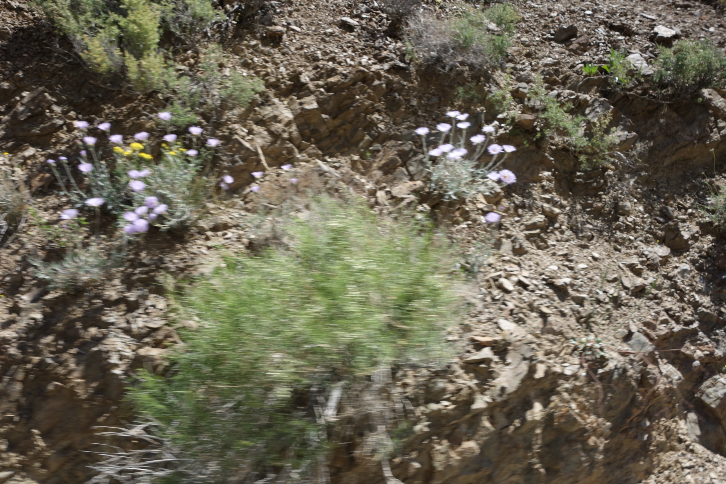 DSC00992.JPG