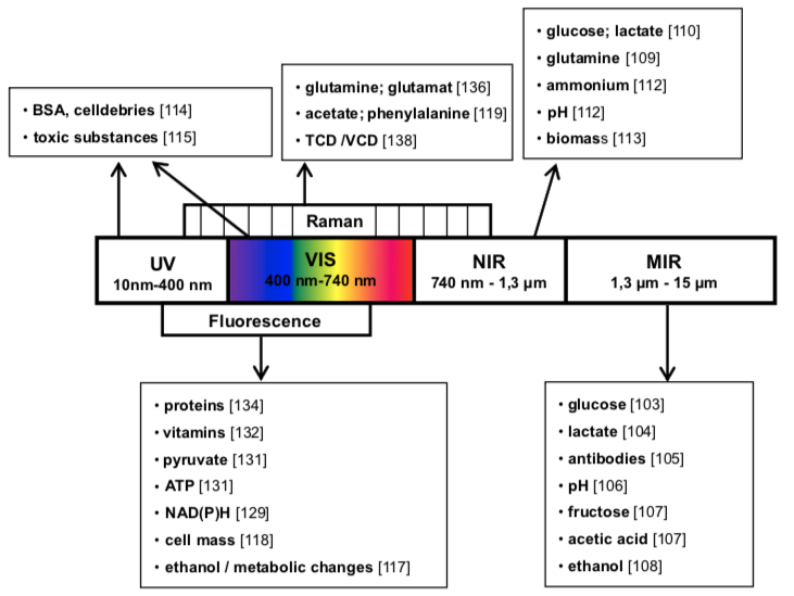 Figure 8. A range of metabolites and characteristics of a bioprocess can be monitored via spectroscopic methods. From Biechele et al. 2015 .