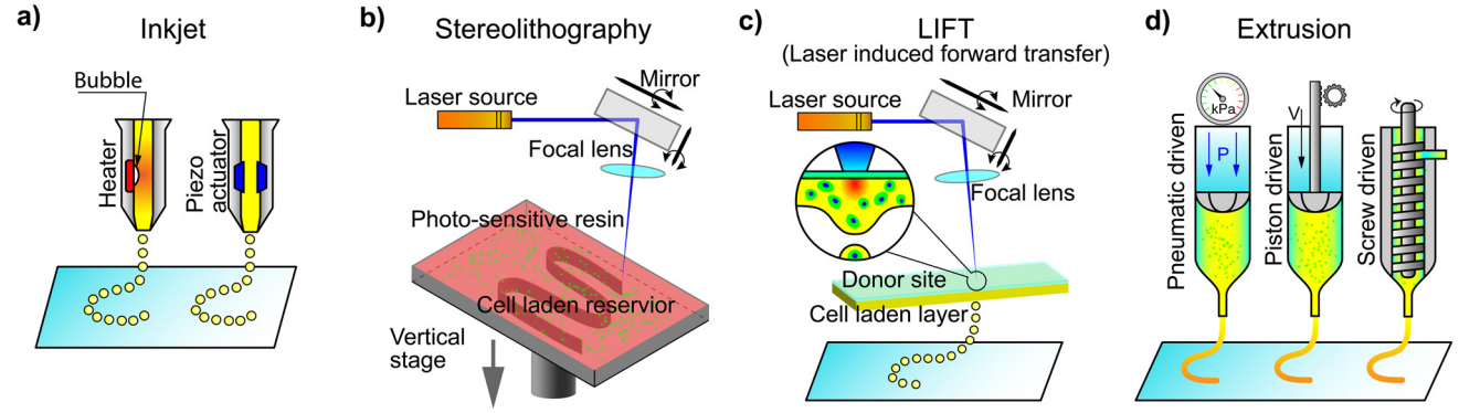 Figure 1. A visual overview of common bioprinting techniques, described below. Extrusion or stereolithographic techniques are most likely to be used in cell-based meat research and development. From Jiang et al., 2019 .