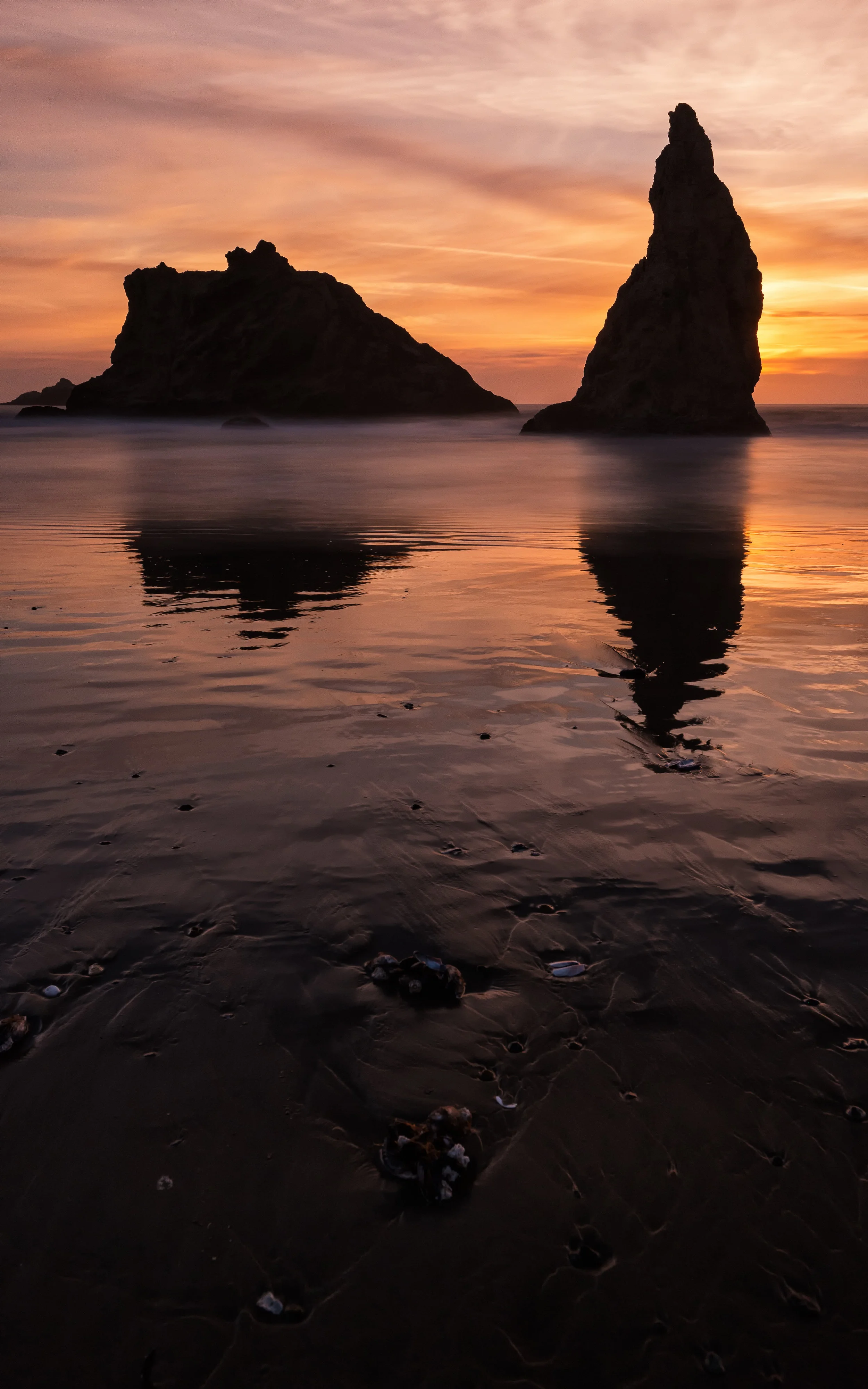 Seashells & The Wizard's Hat