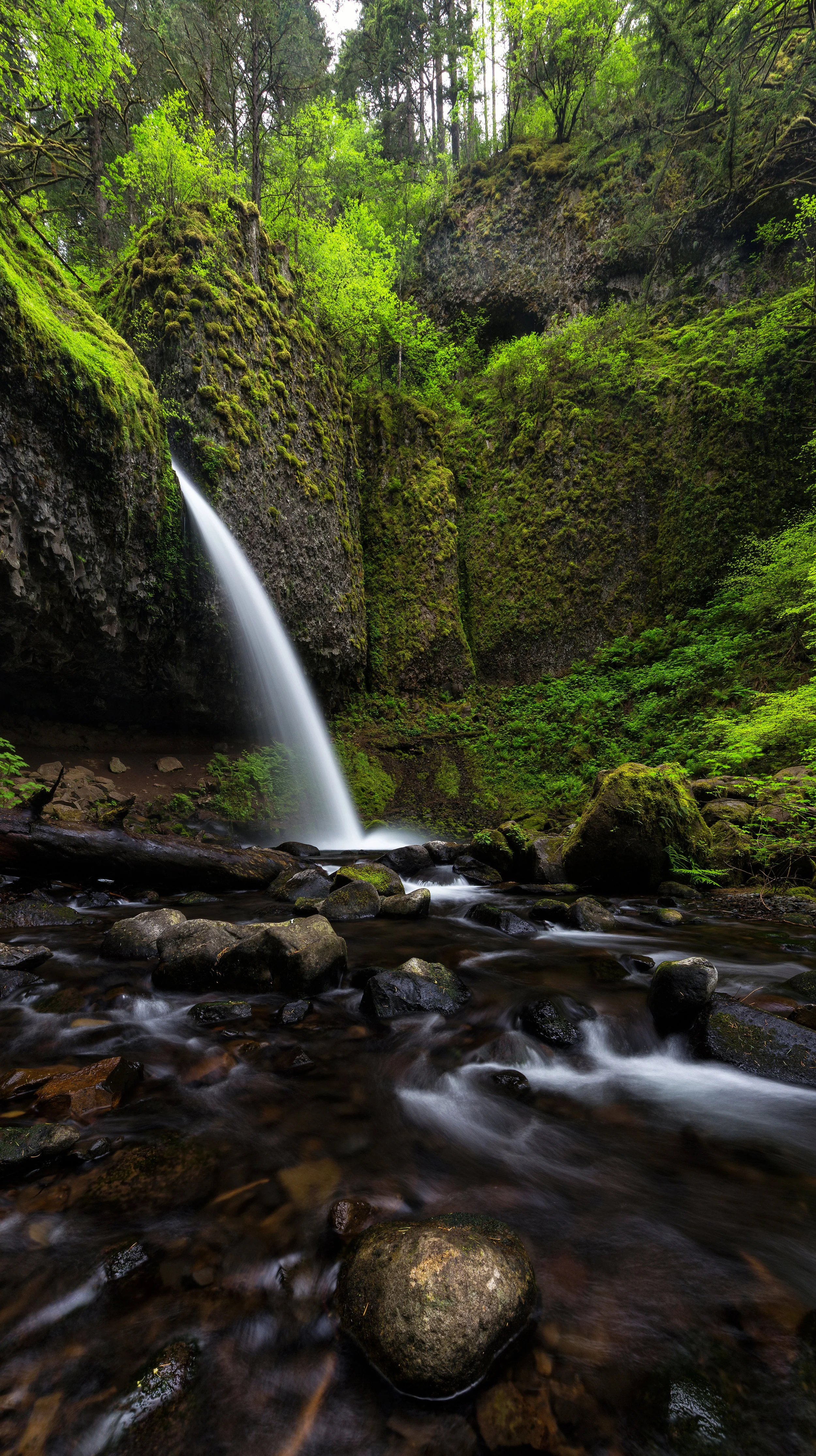 Ponytail Falls