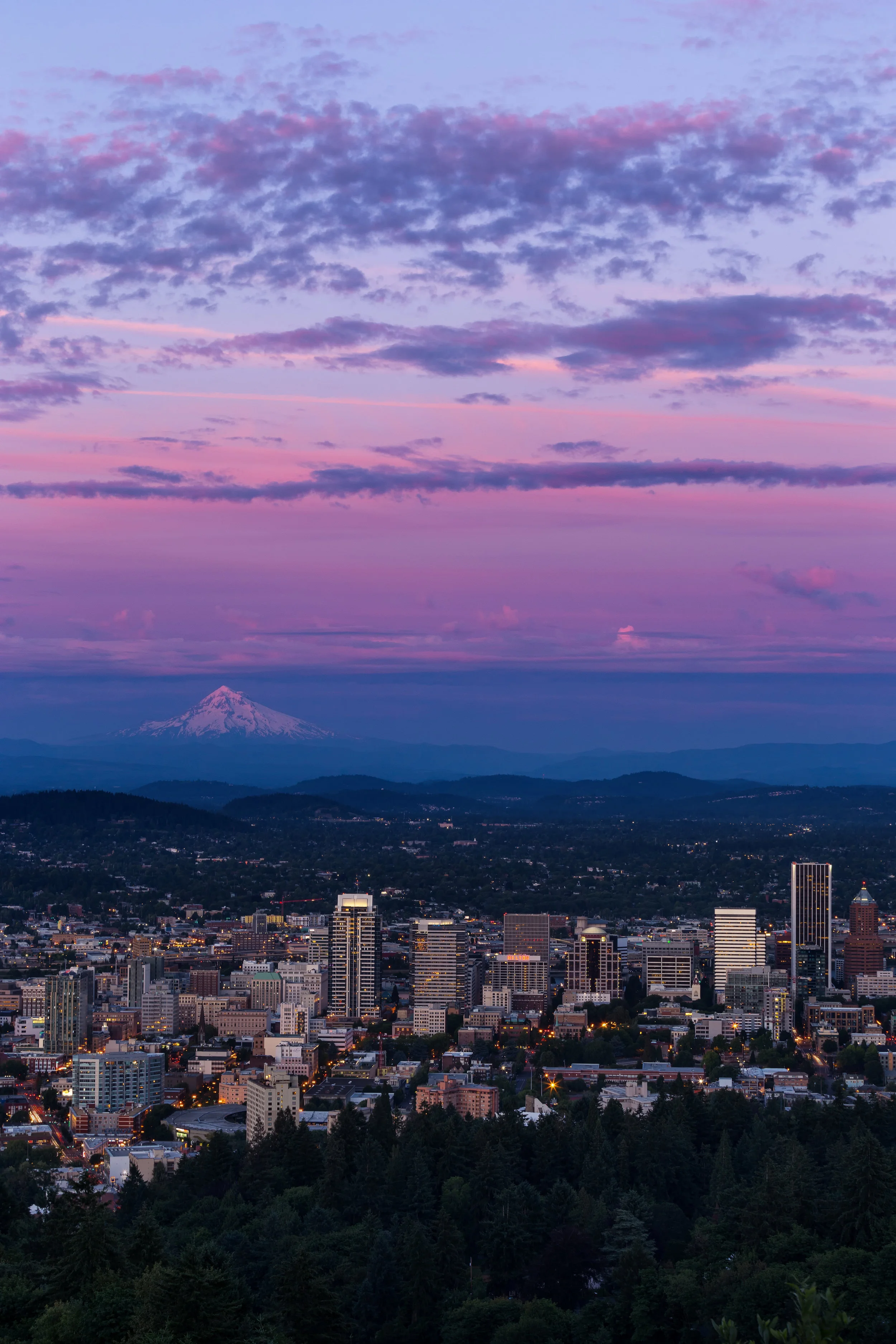 Pittock Pinks