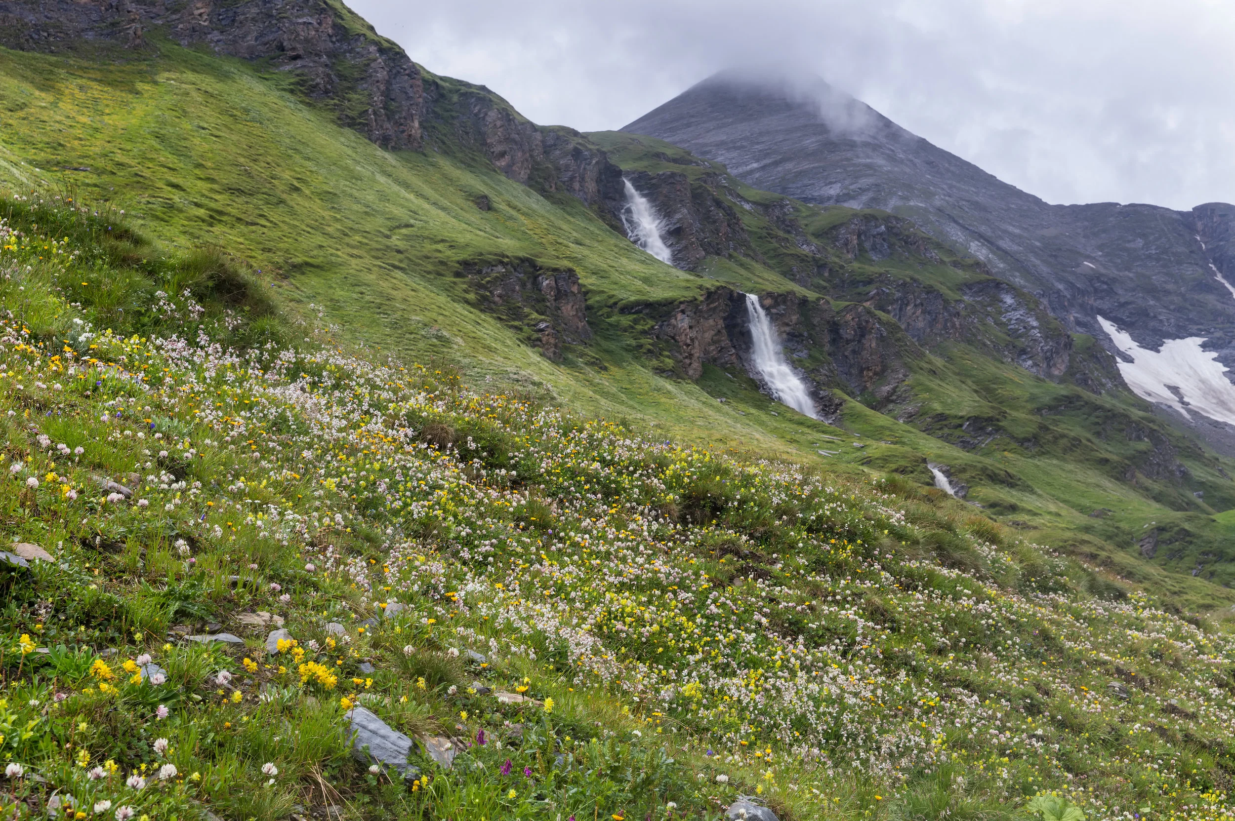 Wildflowers & Waterfalls