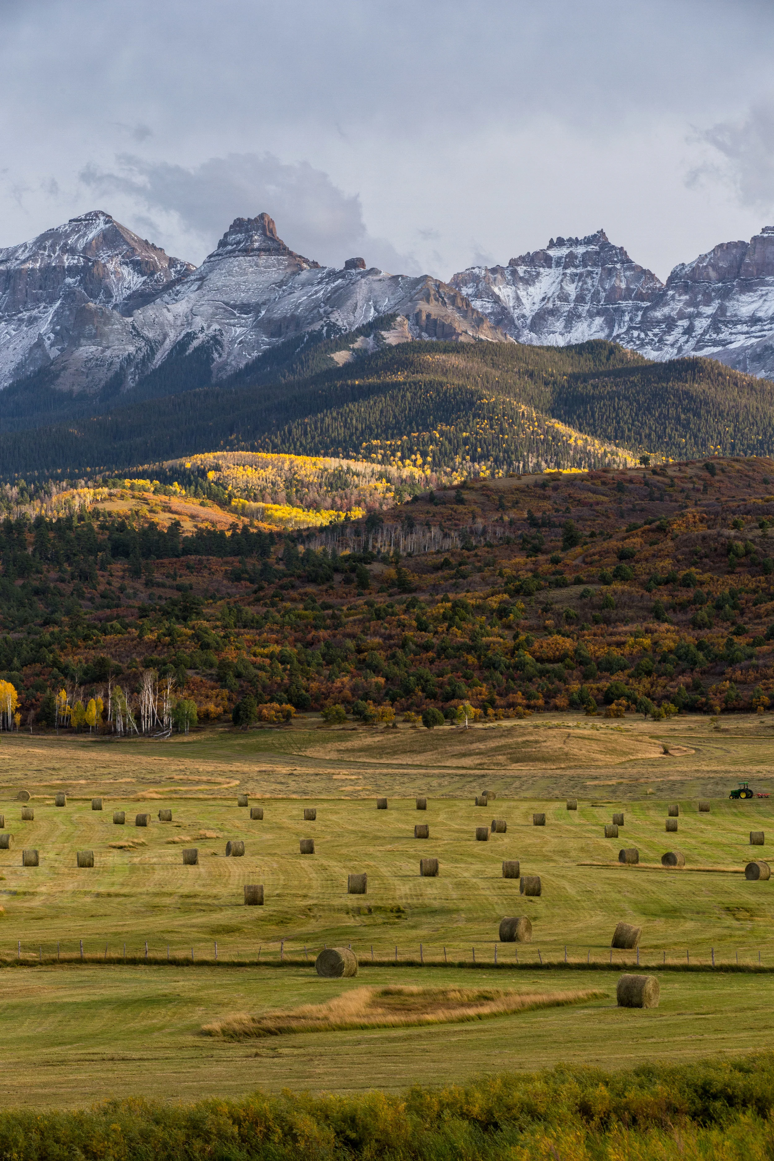 Harvest at the Divide