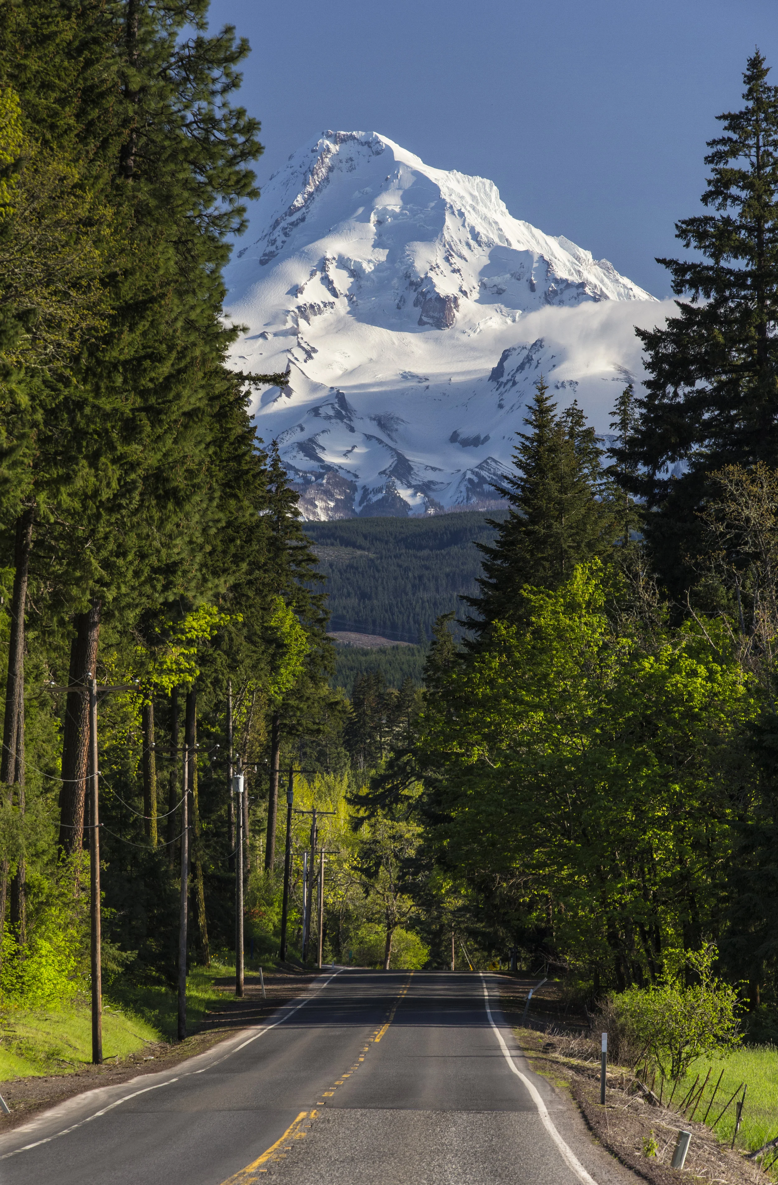 The Road to Mt Hood 