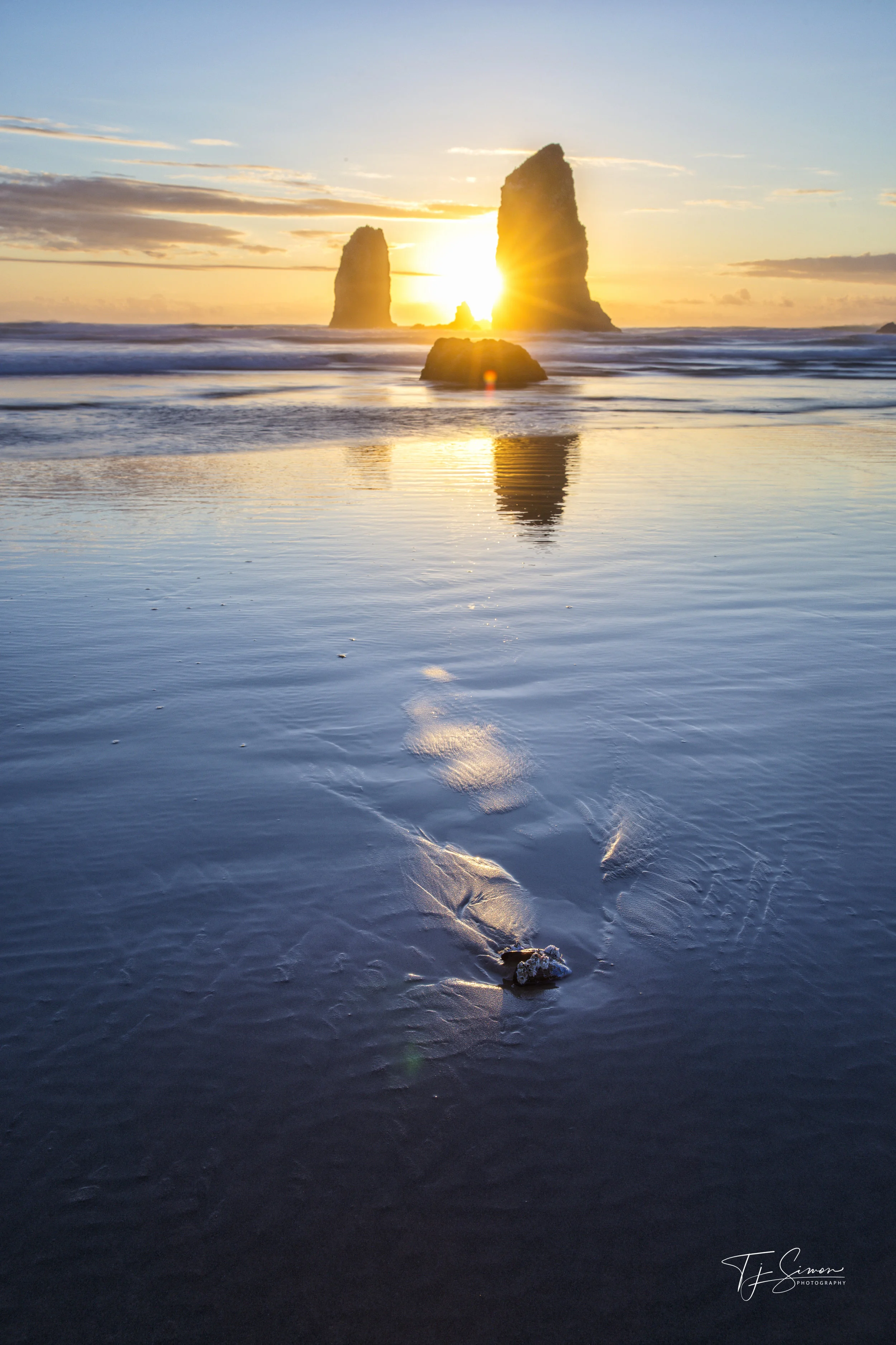 Seashells by the Seashore