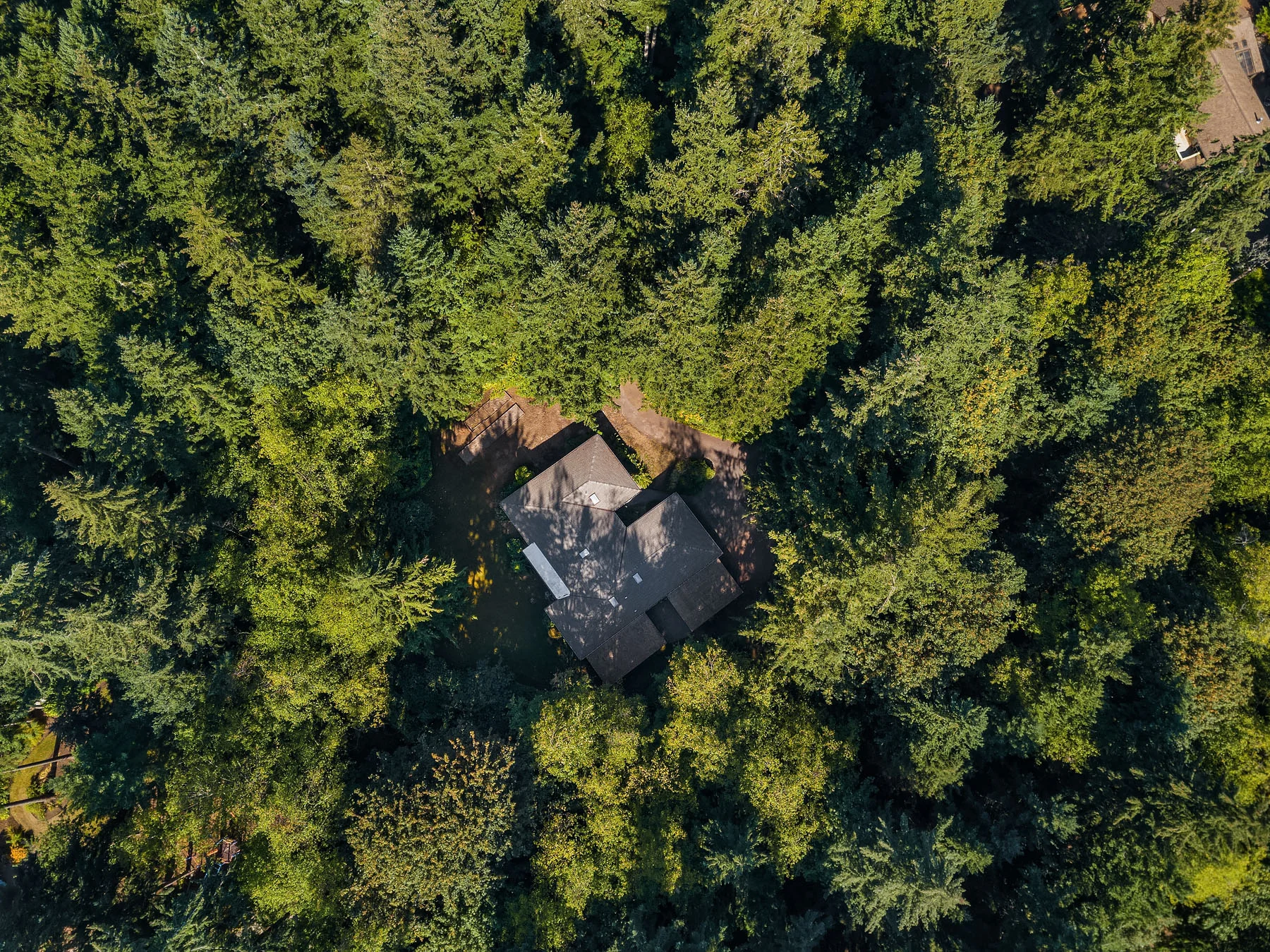 Carol Miller 9.7.2018