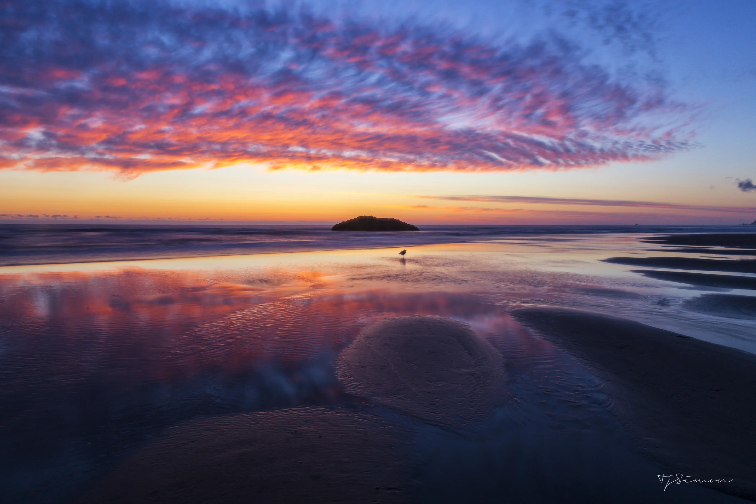 Beach Dreams