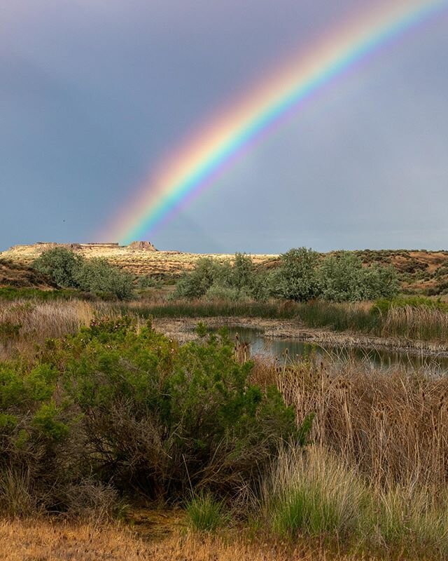 Somewhere over the rainbow. Out and about exploiting and trying to chase storms while mostly looking at birds over the weekend with @missfitgirl #washington #pnw #pnwonderland #upperleftusa #nature #landscape #outdoors #rainbow