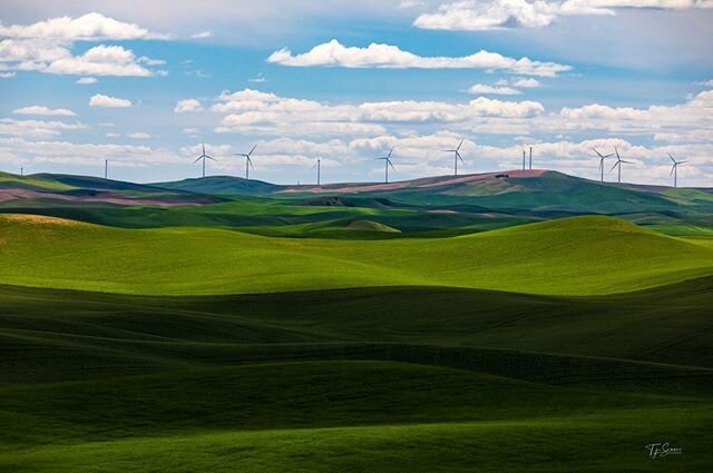 Across the border from southern Canada #pnw #pnwonderland #upperleftusa #outdoor #nature #green #fields #explore #carcamp