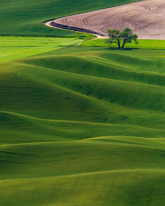 Natural golf course. If I actually care about golf.