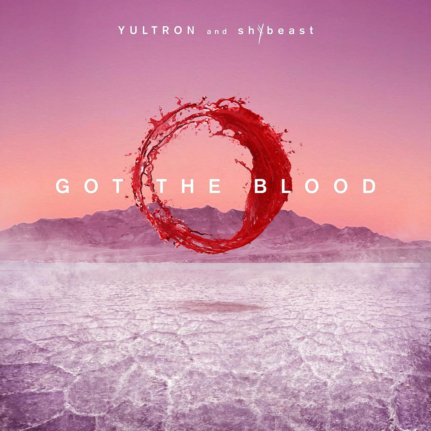 Made the artwork for @yultron and @shybeast new record &ldquo;Got The Blood&rdquo; ⭕️ Out now on the legendary @hopelessrecords for all the emo kids out there