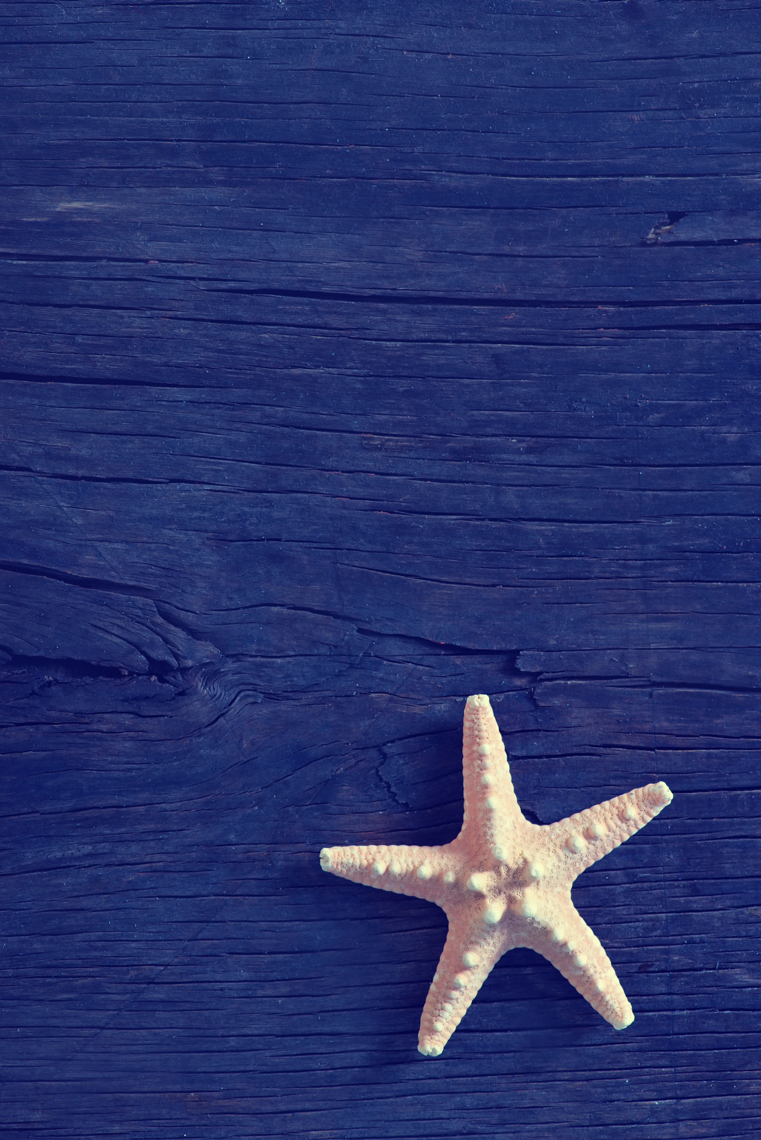 Market Update: July 2015