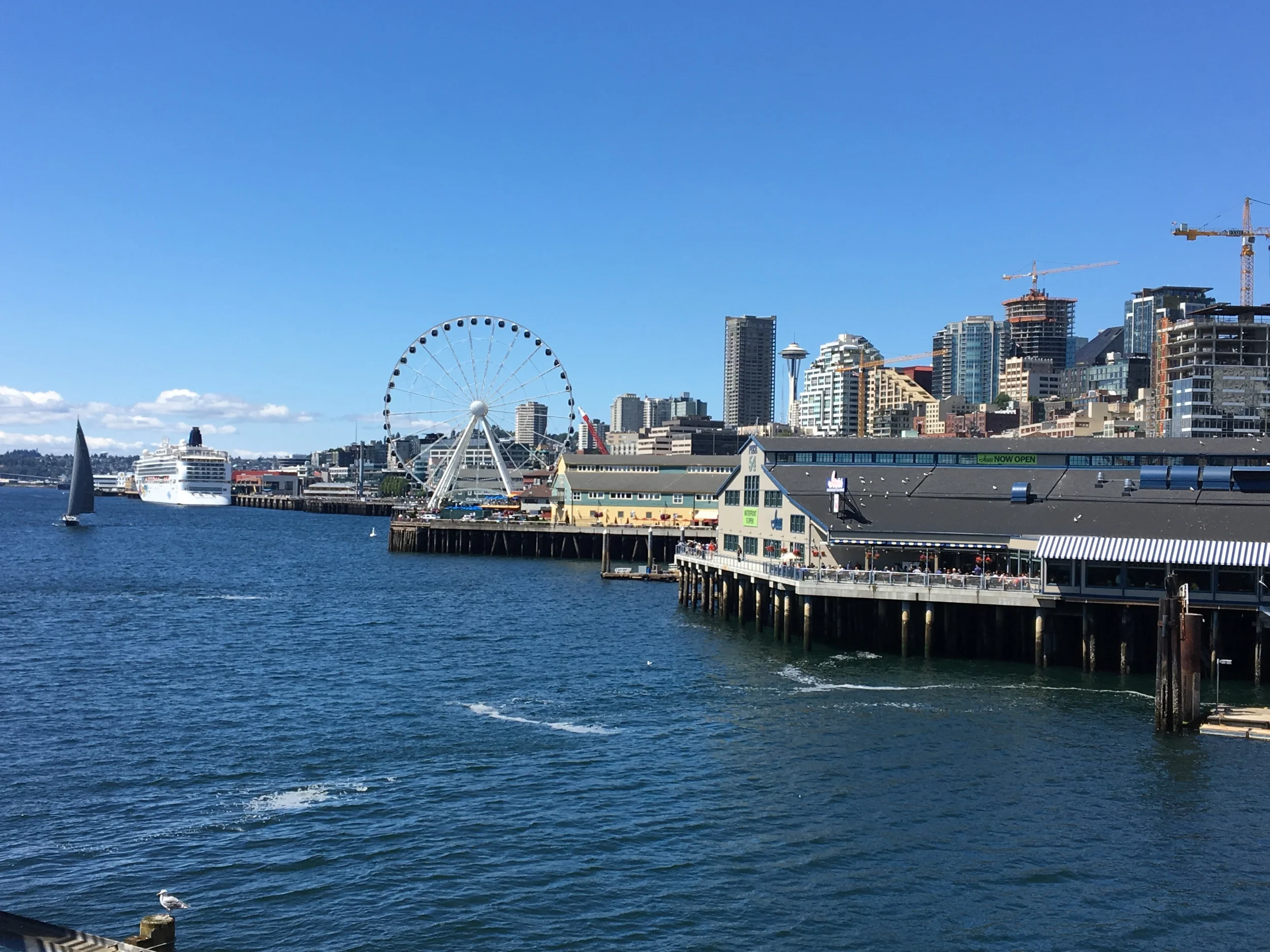 File Jul 10, 9 03 17 PM.jpeg