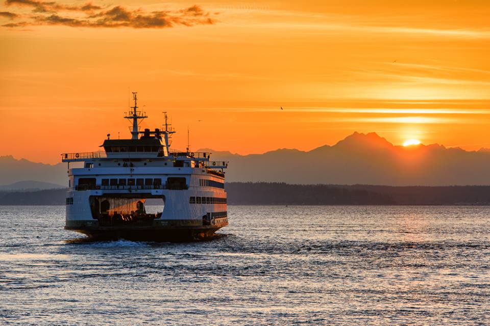 Semi Annual Market Report: A Look at the First Half of 2017