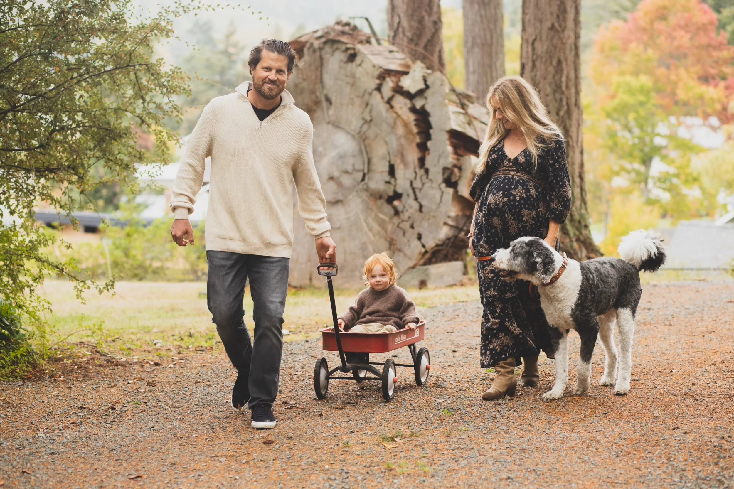 Real Estate Market Update - December 2023